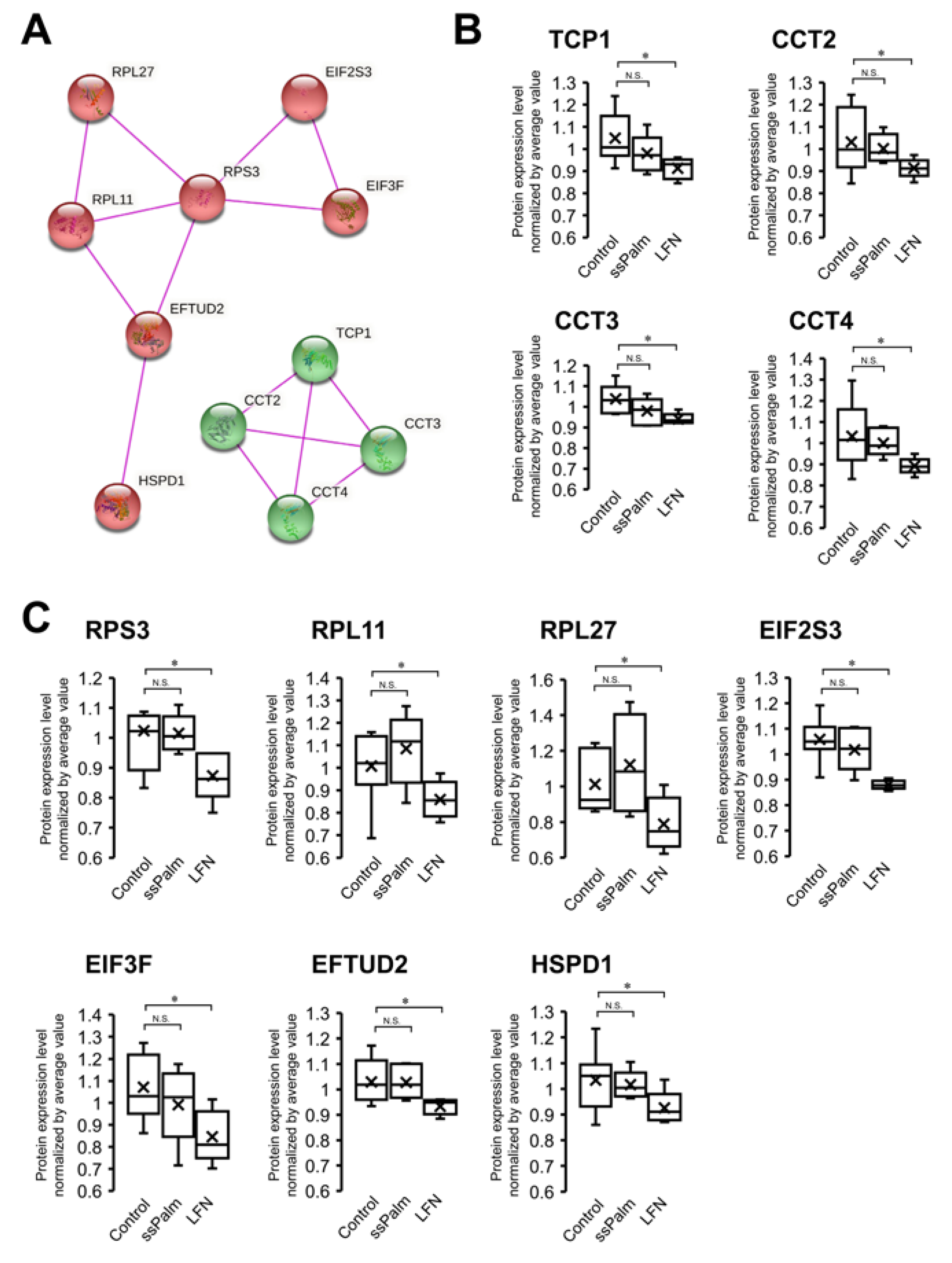 Pharmaceutics 14 01560 g006 Pharmaceutics 14 01560 g006