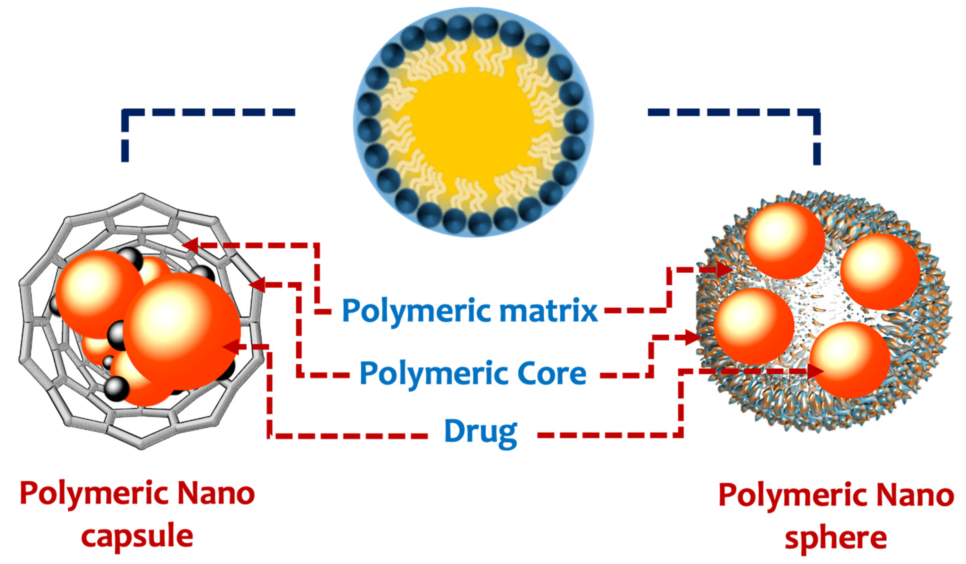 Pharmaceutics 14 01566 g001 550