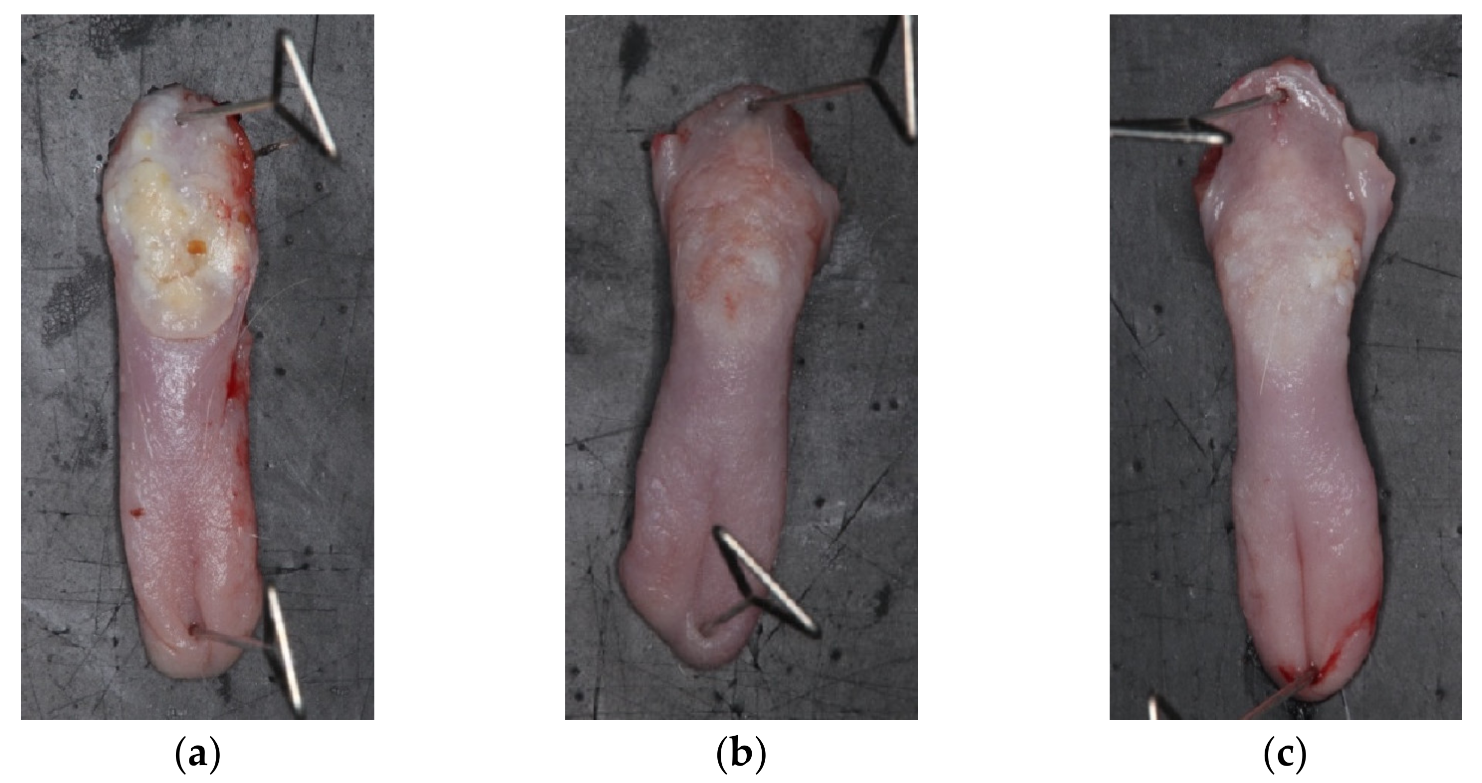 Pharmaceutics 14 01575 g008