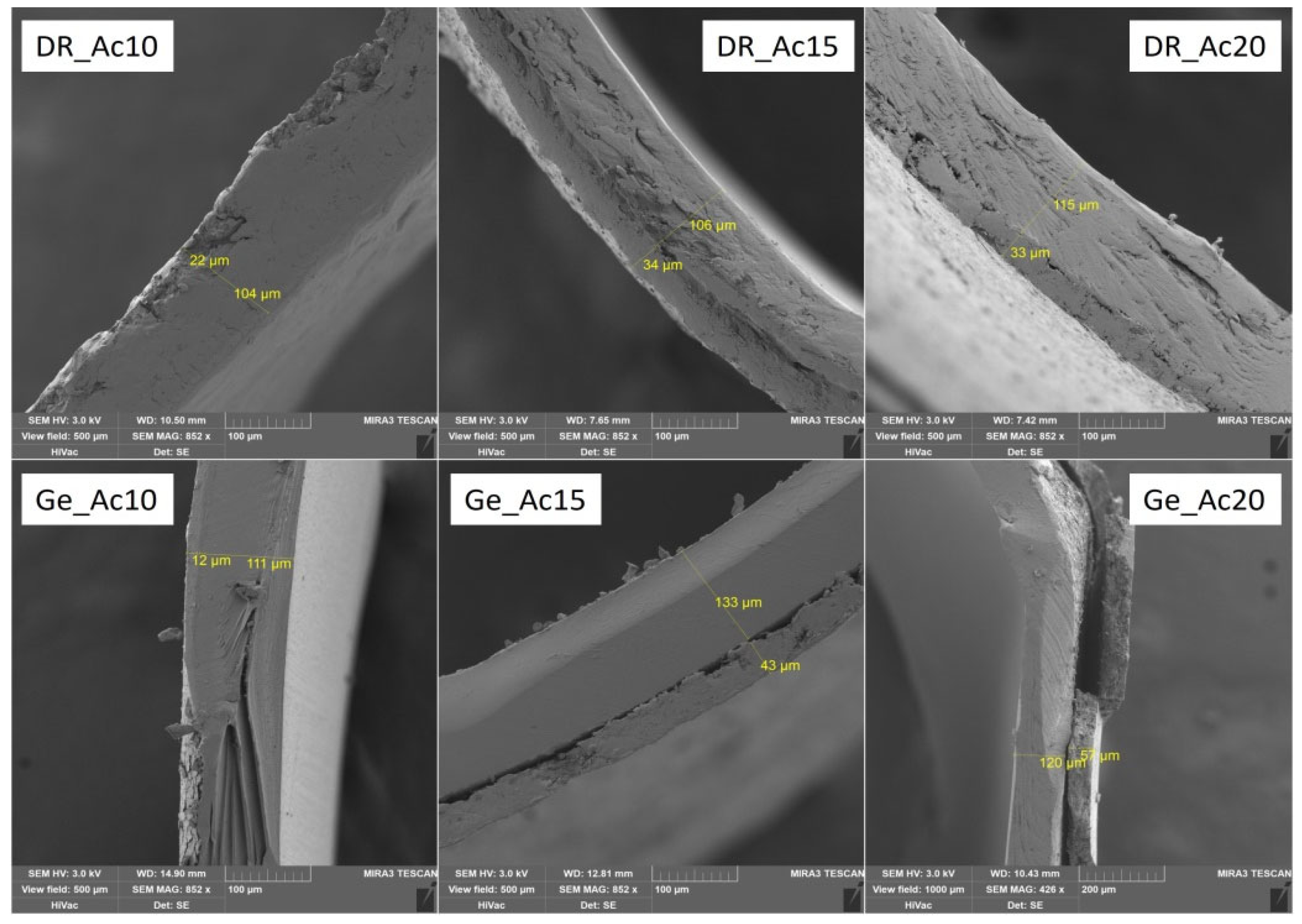 Pharmaceutics 14 01577 g001 550