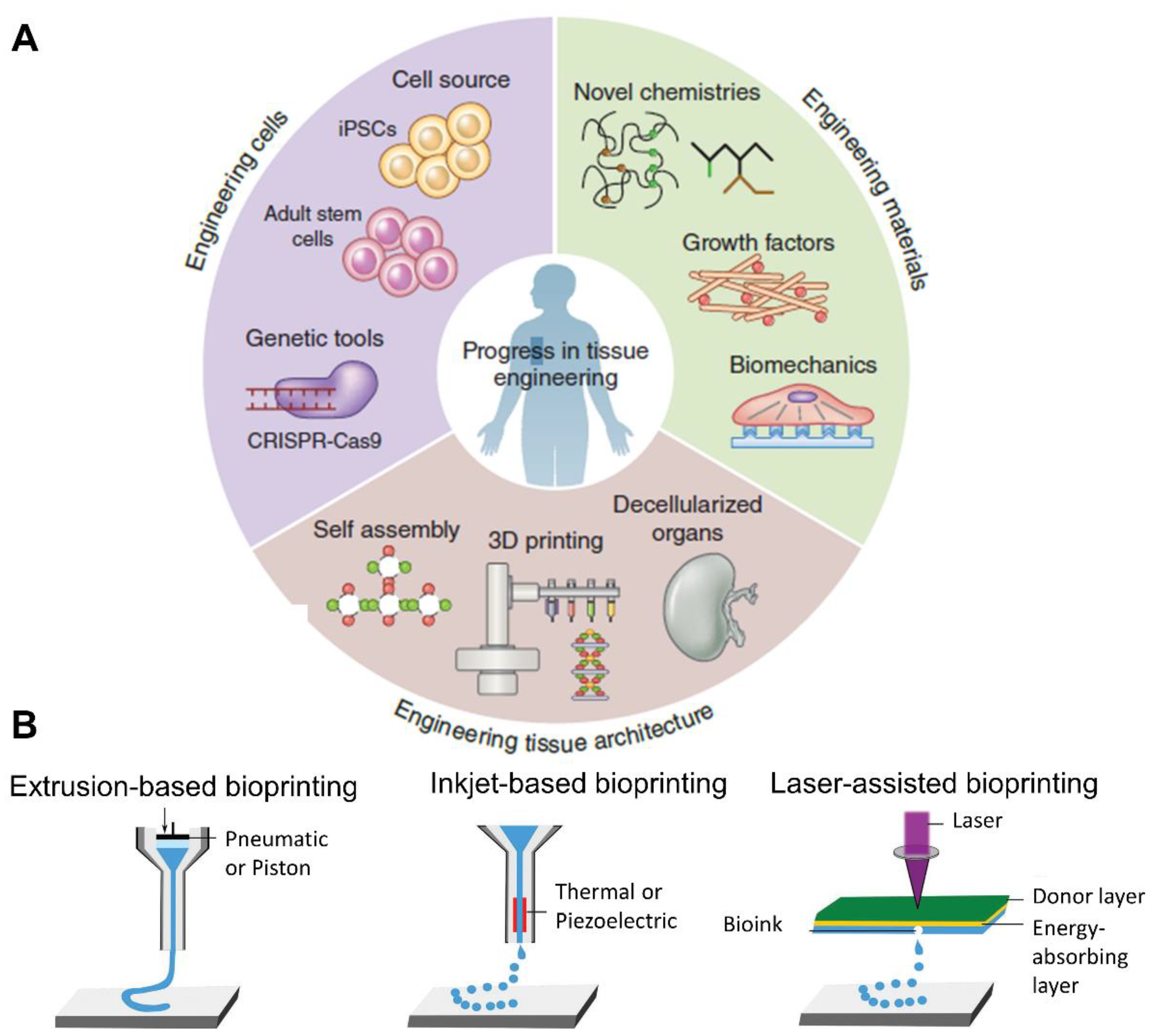 Pharmaceutics 14 01578 g004