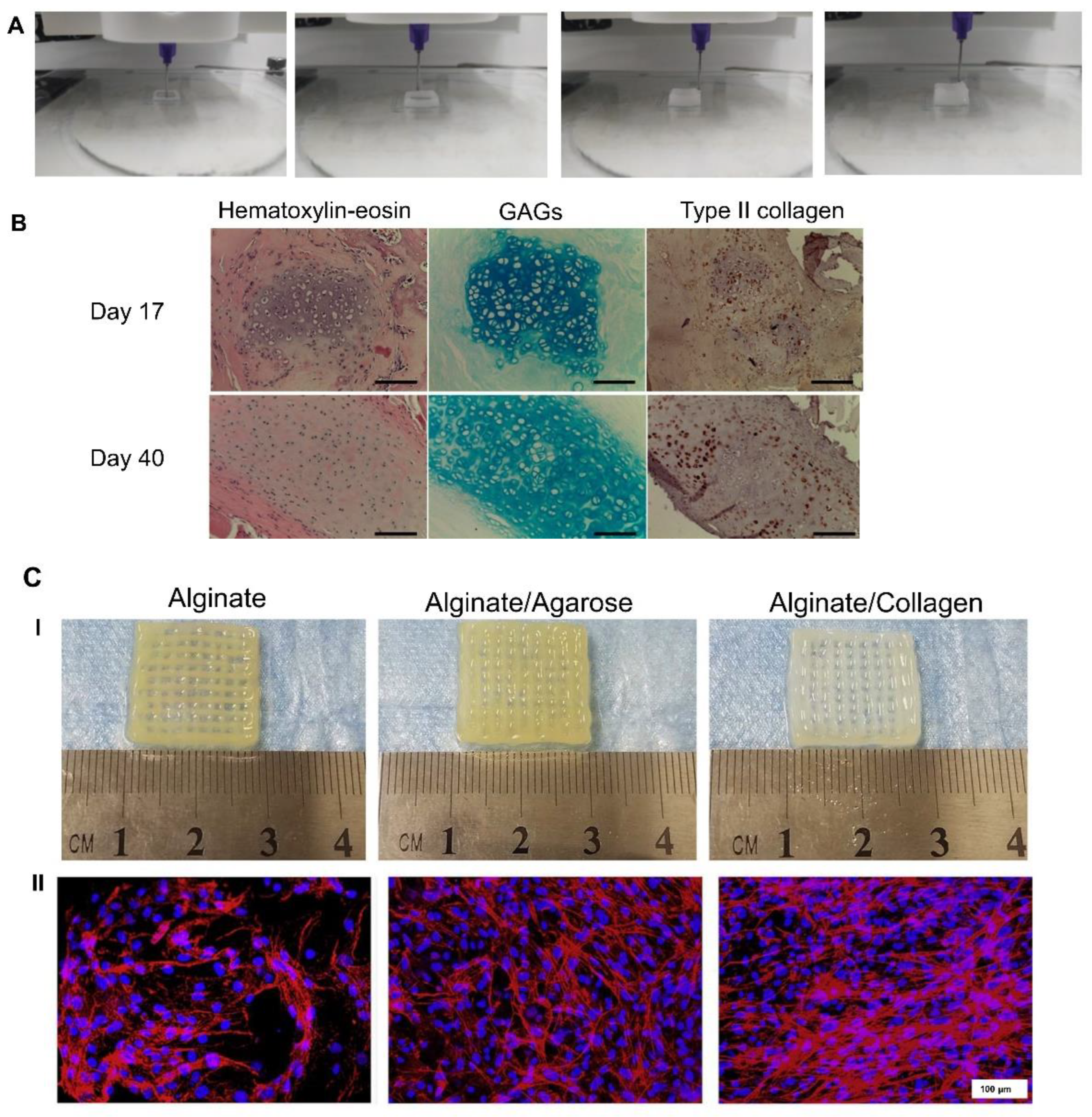 Pharmaceutics 14 01578 g005