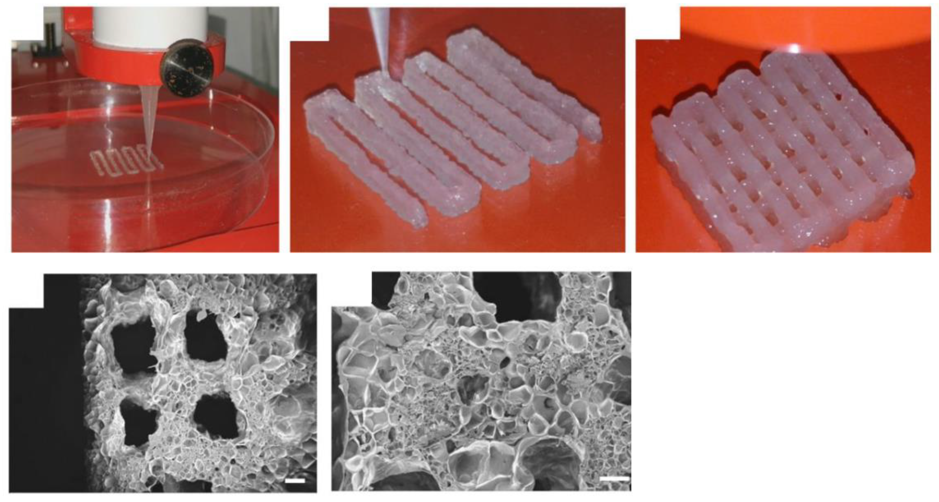Pharmaceutics 14 01578 g007