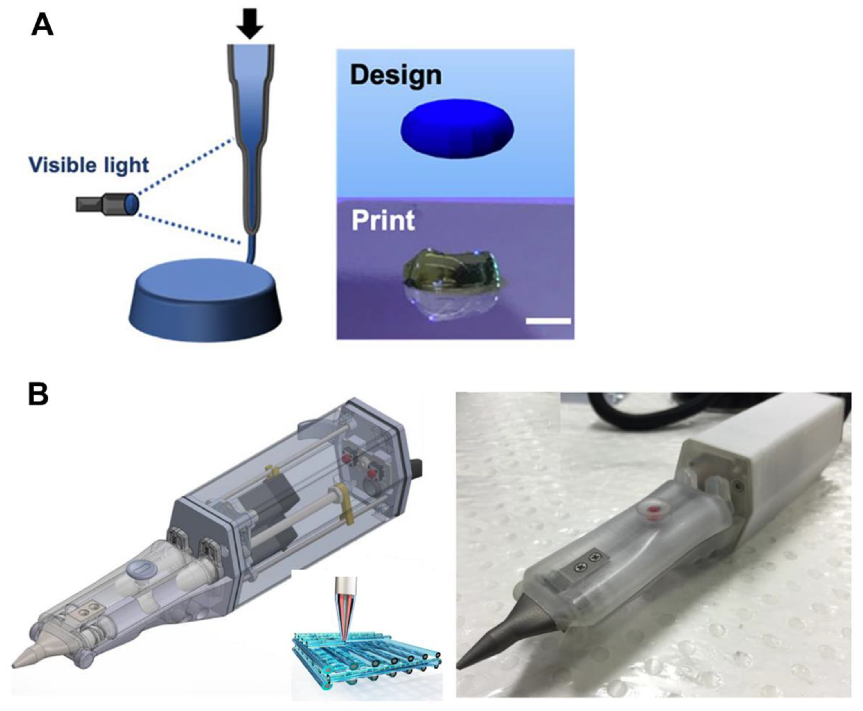 Pharmaceutics 14 01578 g008
