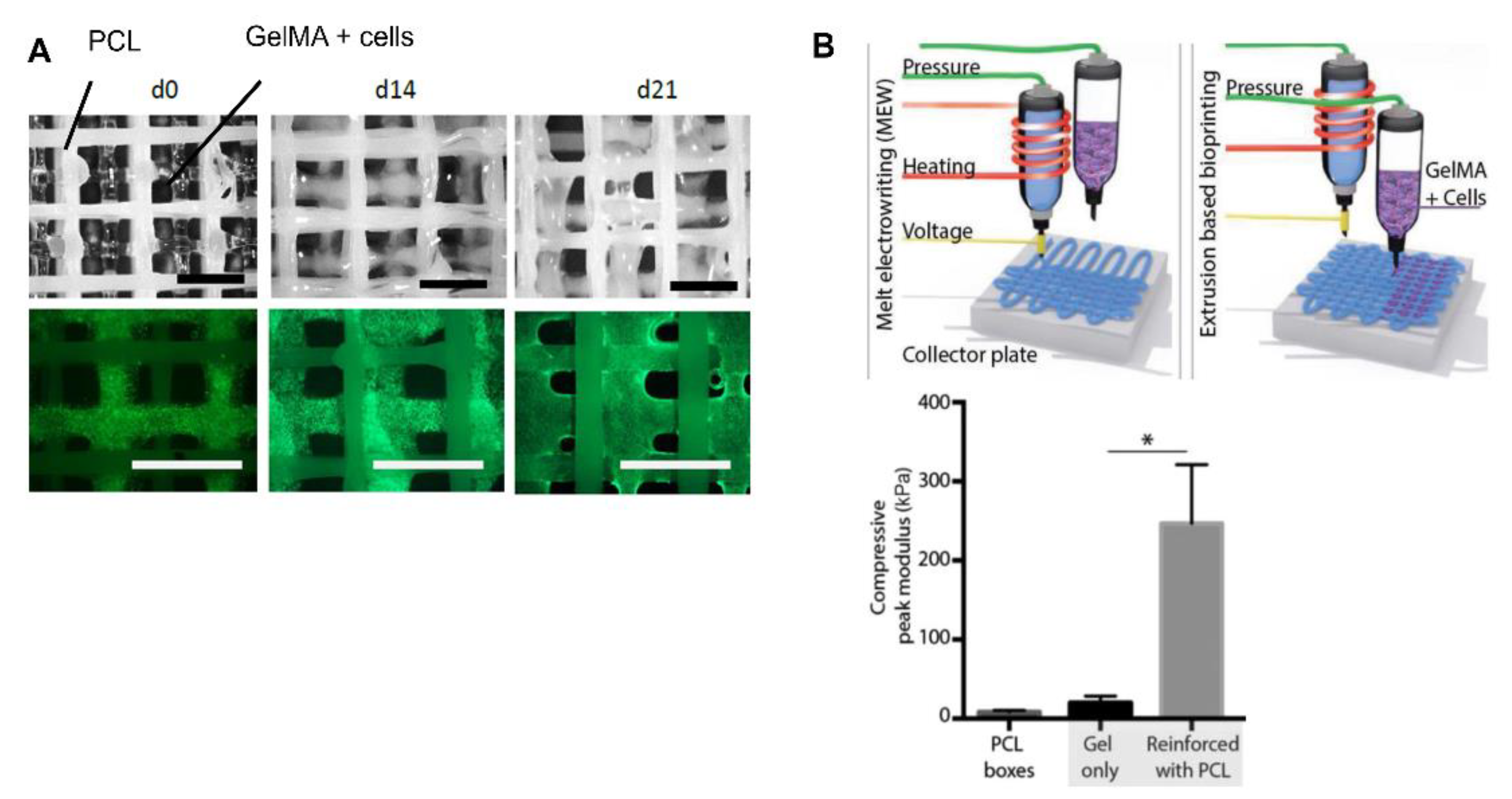 Pharmaceutics 14 01578 g009