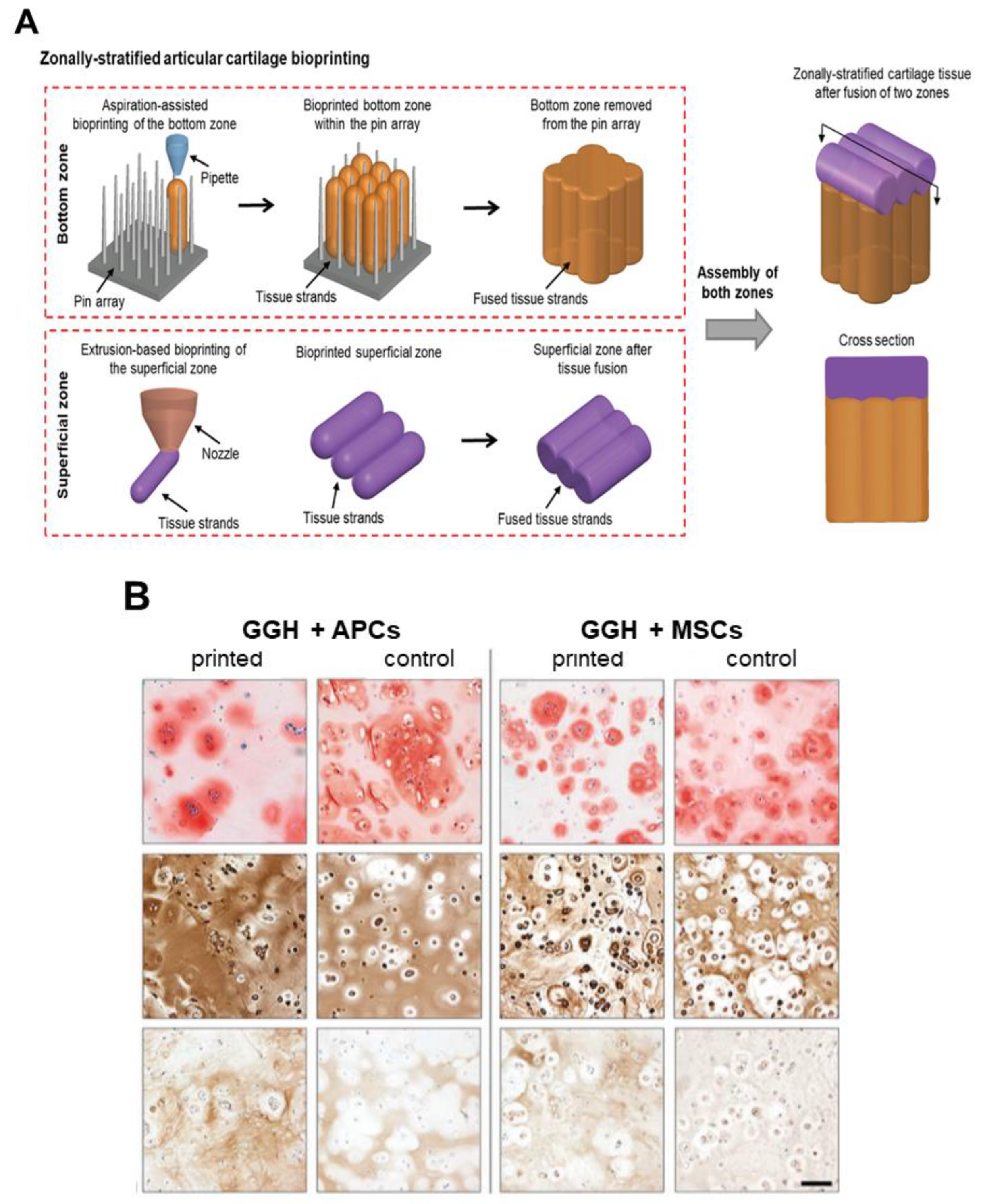 Pharmaceutics 14 01578 g010