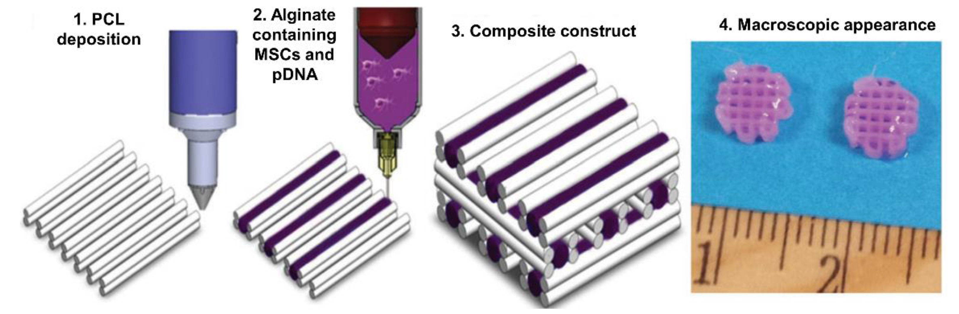 Pharmaceutics 14 01578 g011