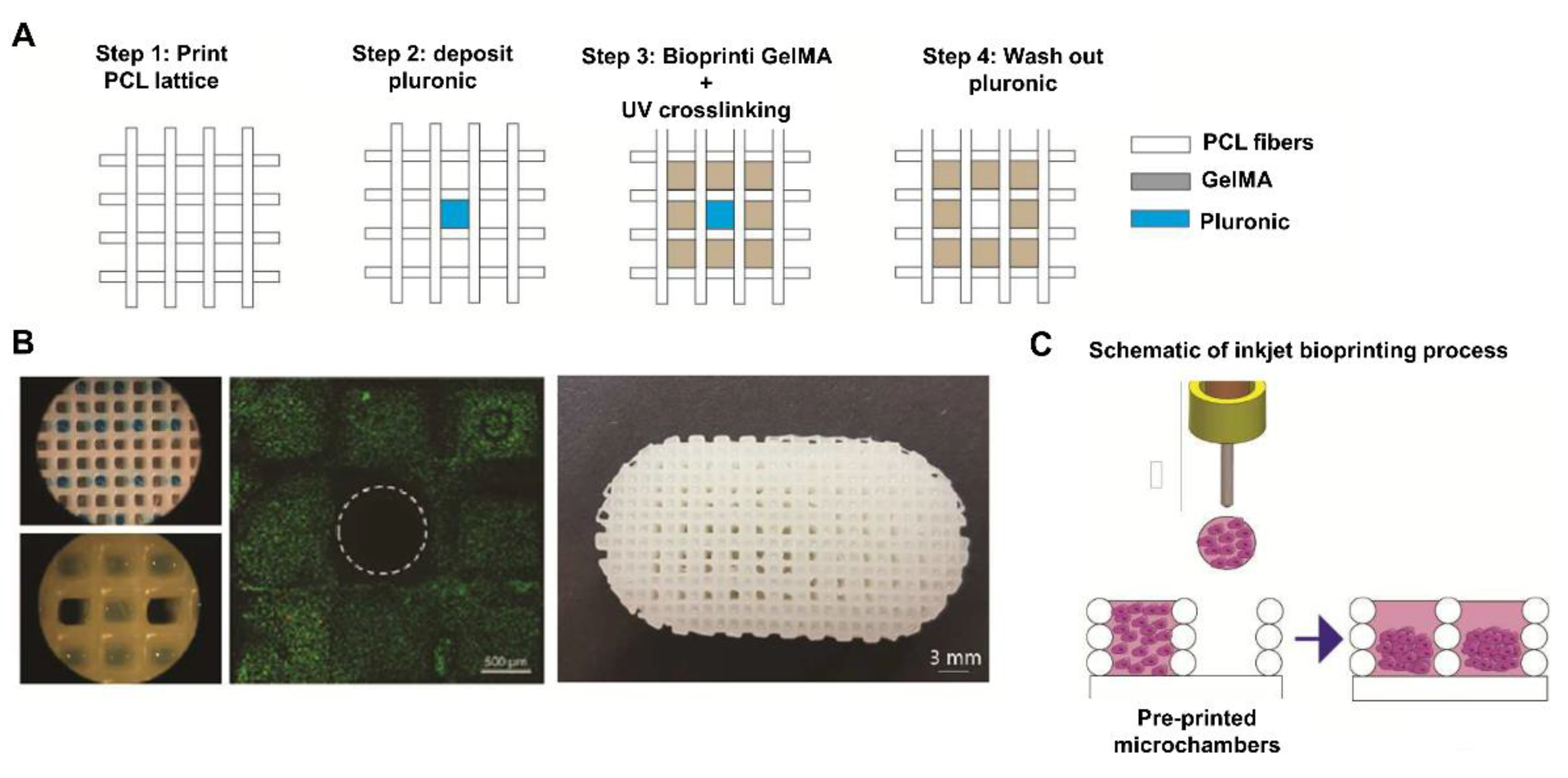 Pharmaceutics 14 01578 g013