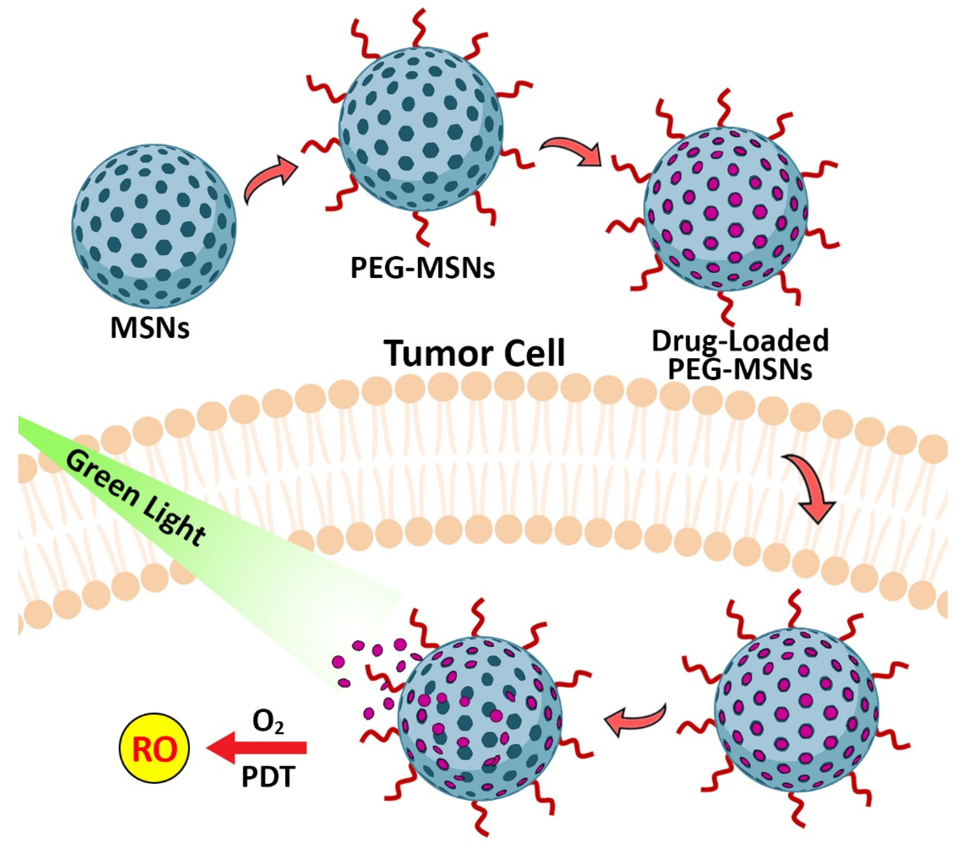 Pharmaceutics 14 01579 g003 550