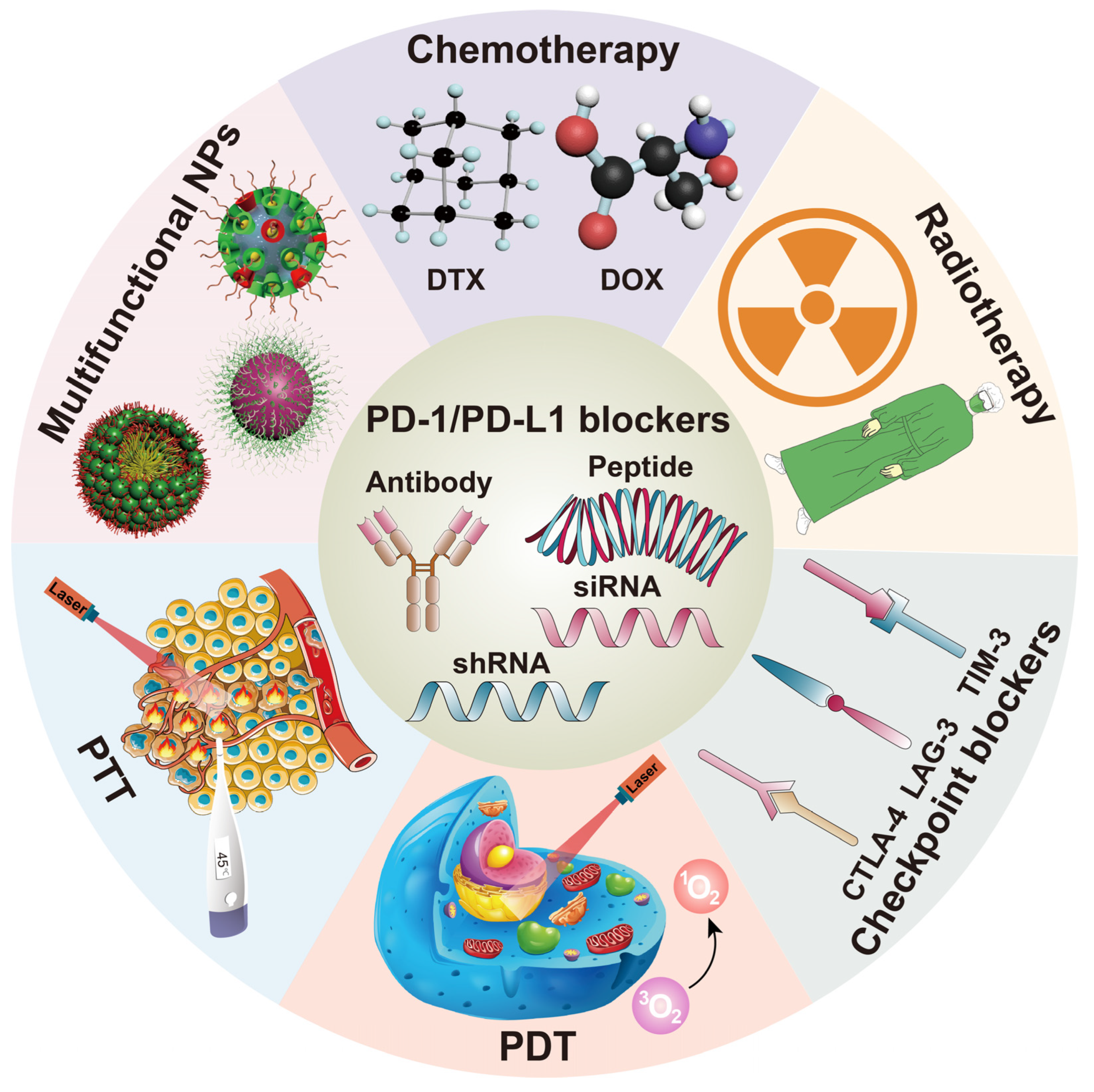 Pharmaceutics 14 01581 g002 Pharmaceutics 14 01581 g002