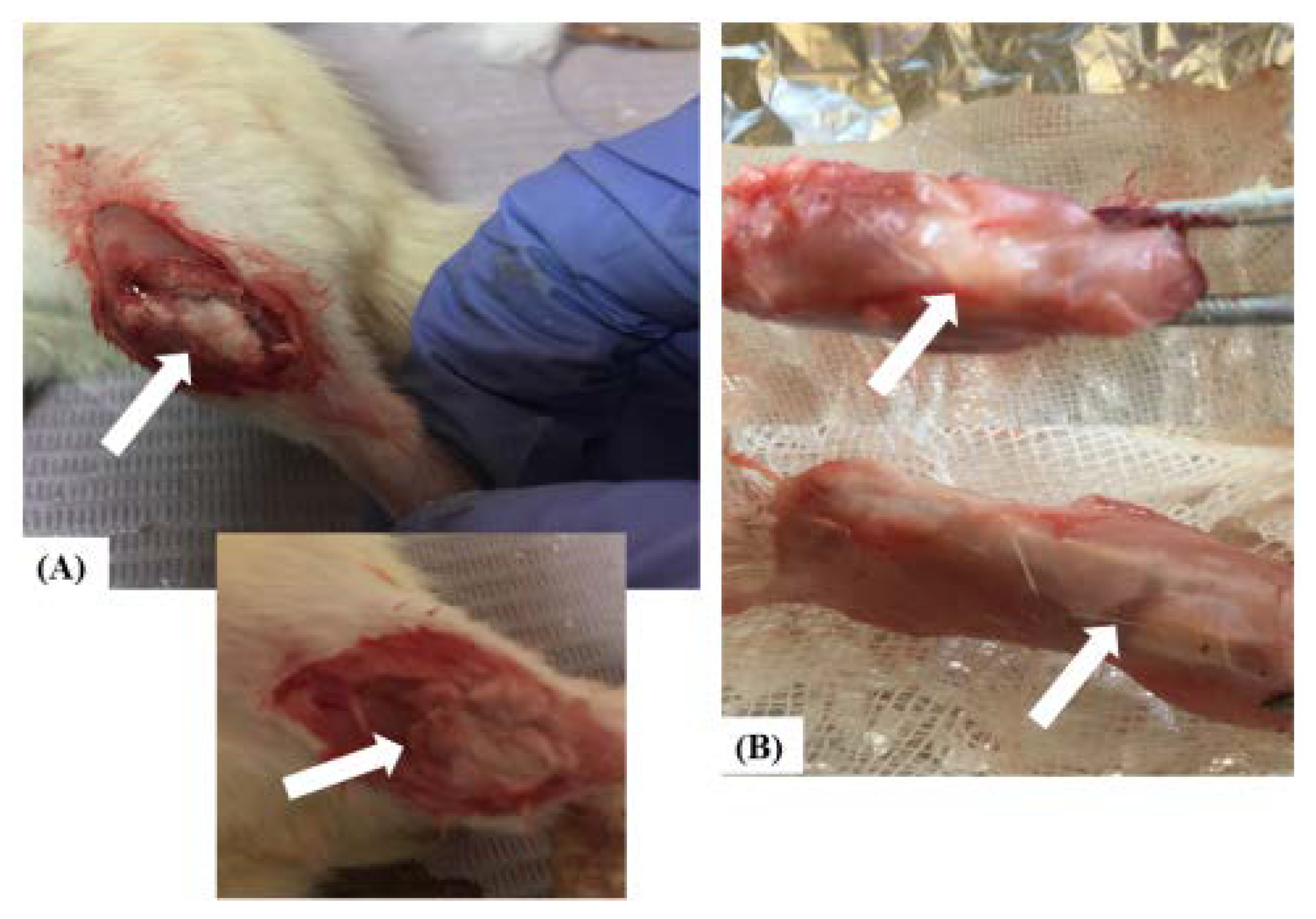 Pharmaceutics 14 01582 g001 550
