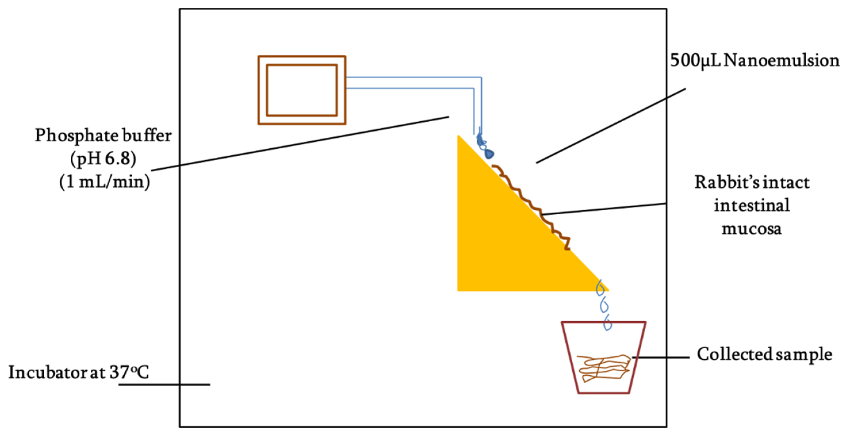 Pharmaceutics 14 01584 g002 550