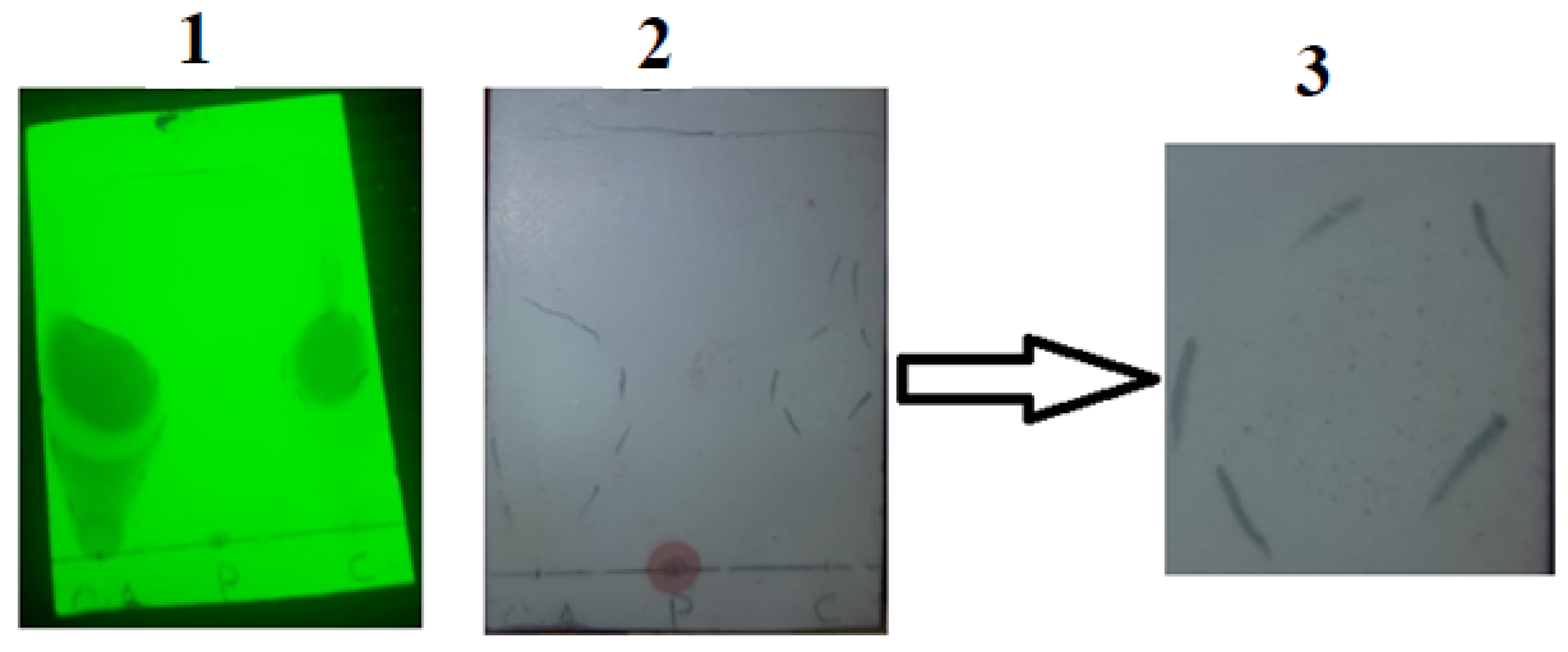 Pharmaceutics 14 01584 g004 550