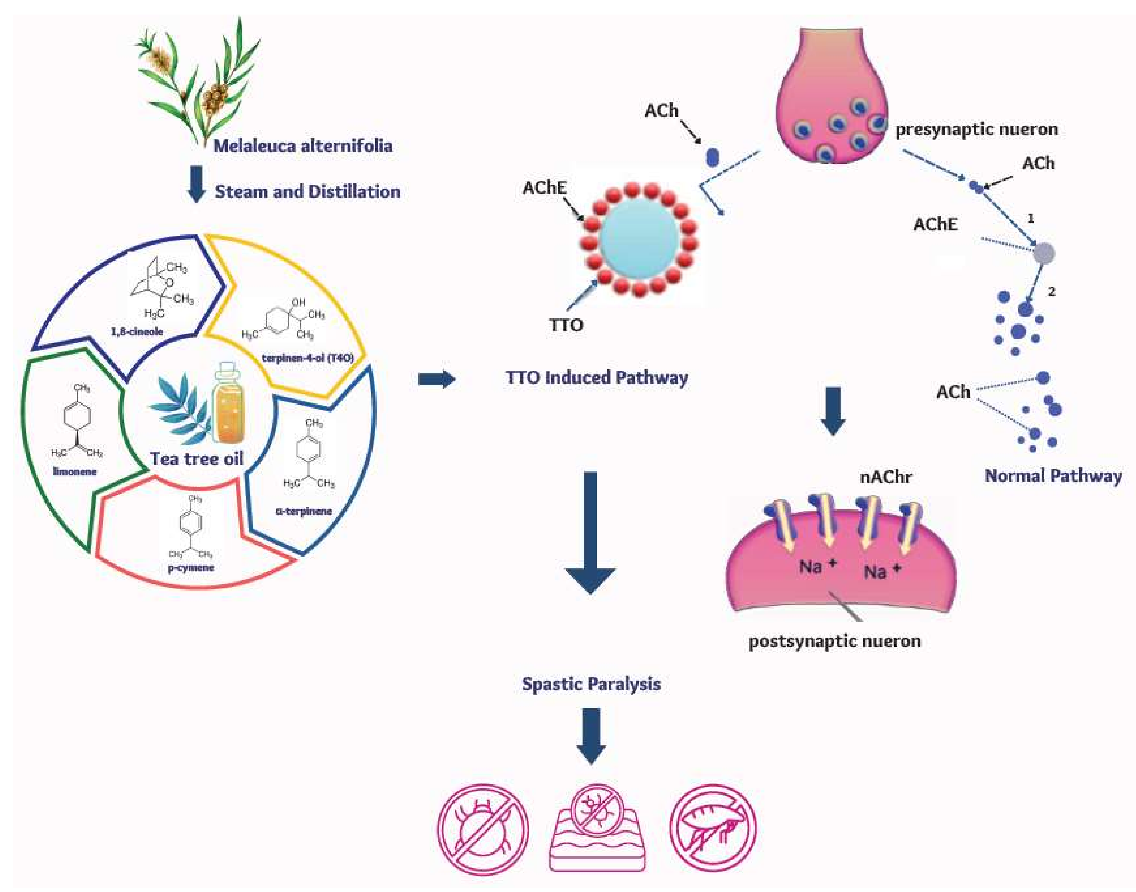 Pharmaceutics 14 01587 g001