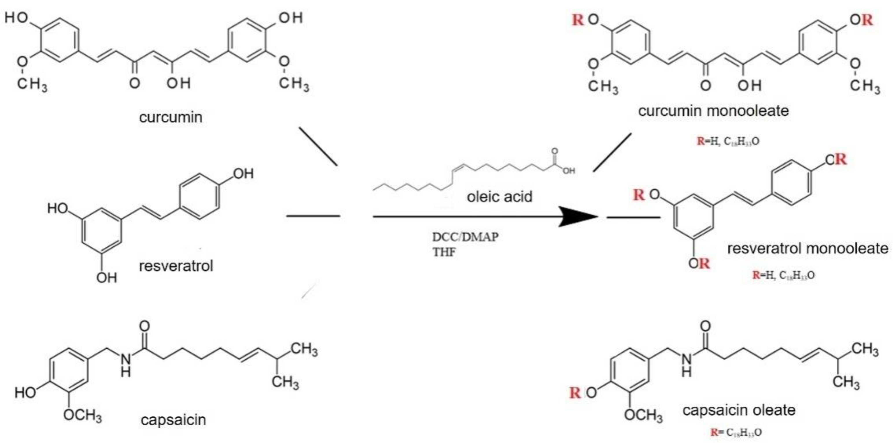 Pharmaceutics 14 01593 g001