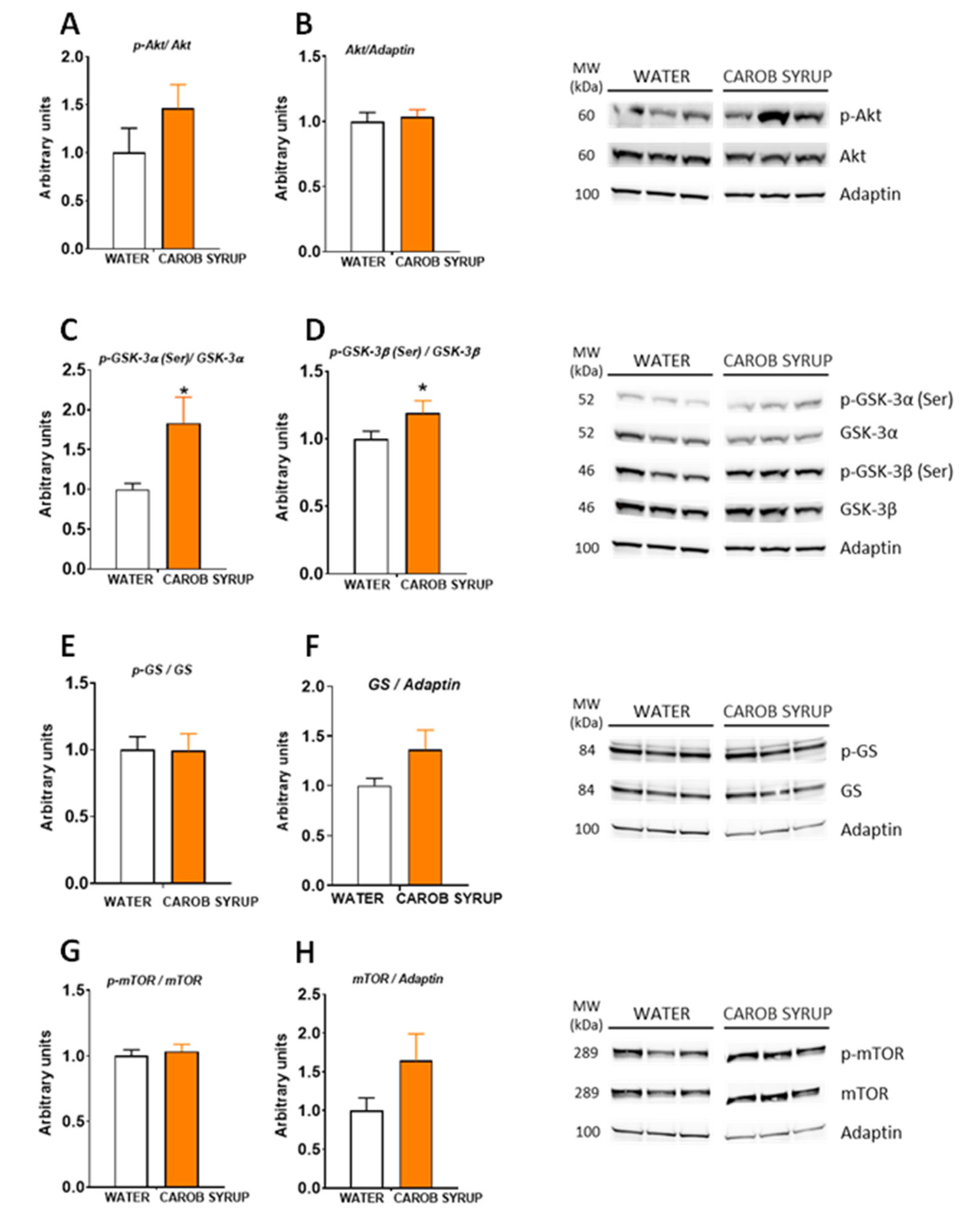 Pharmaceutics 14 01594 g005 550