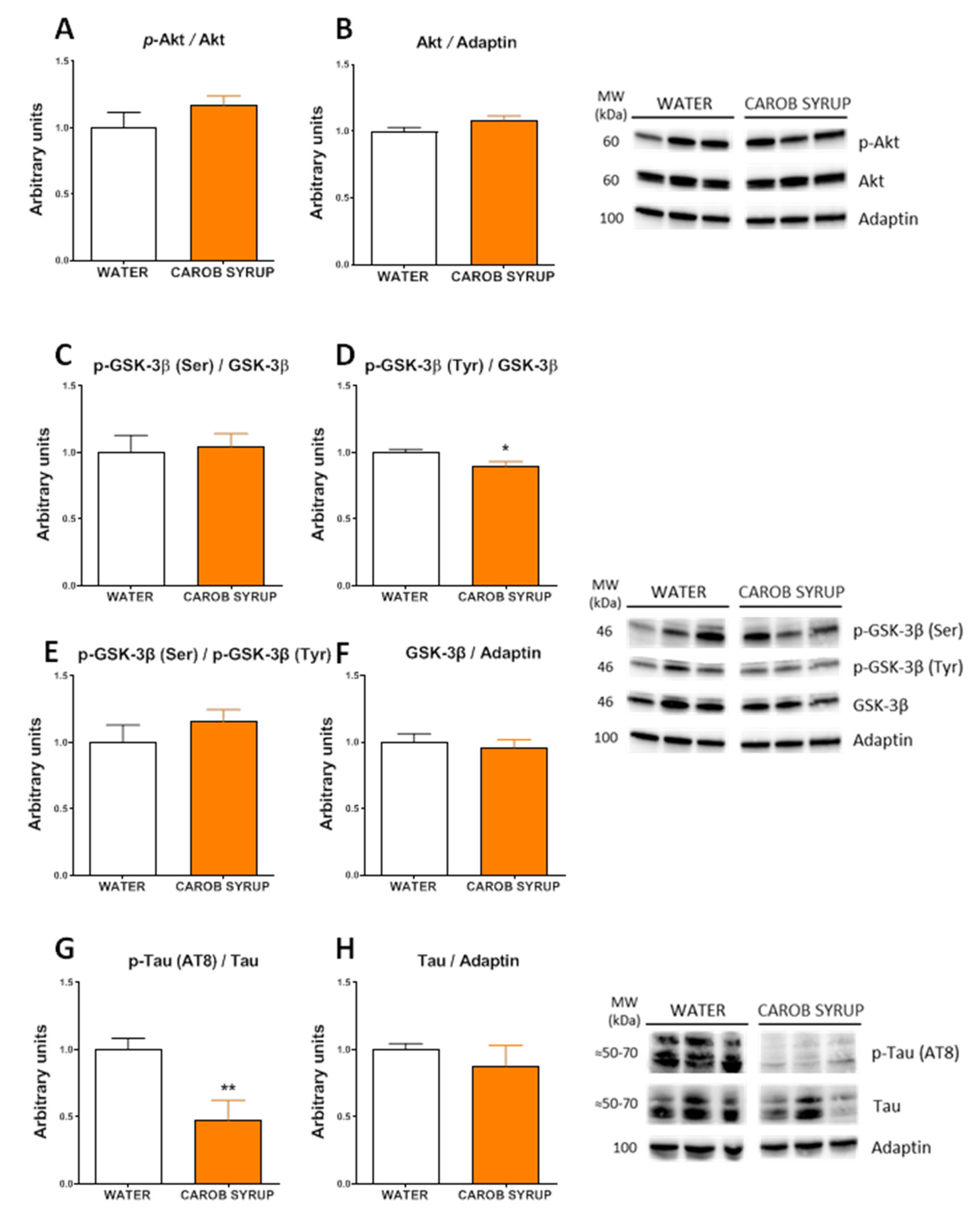 Pharmaceutics 14 01594 g006 550