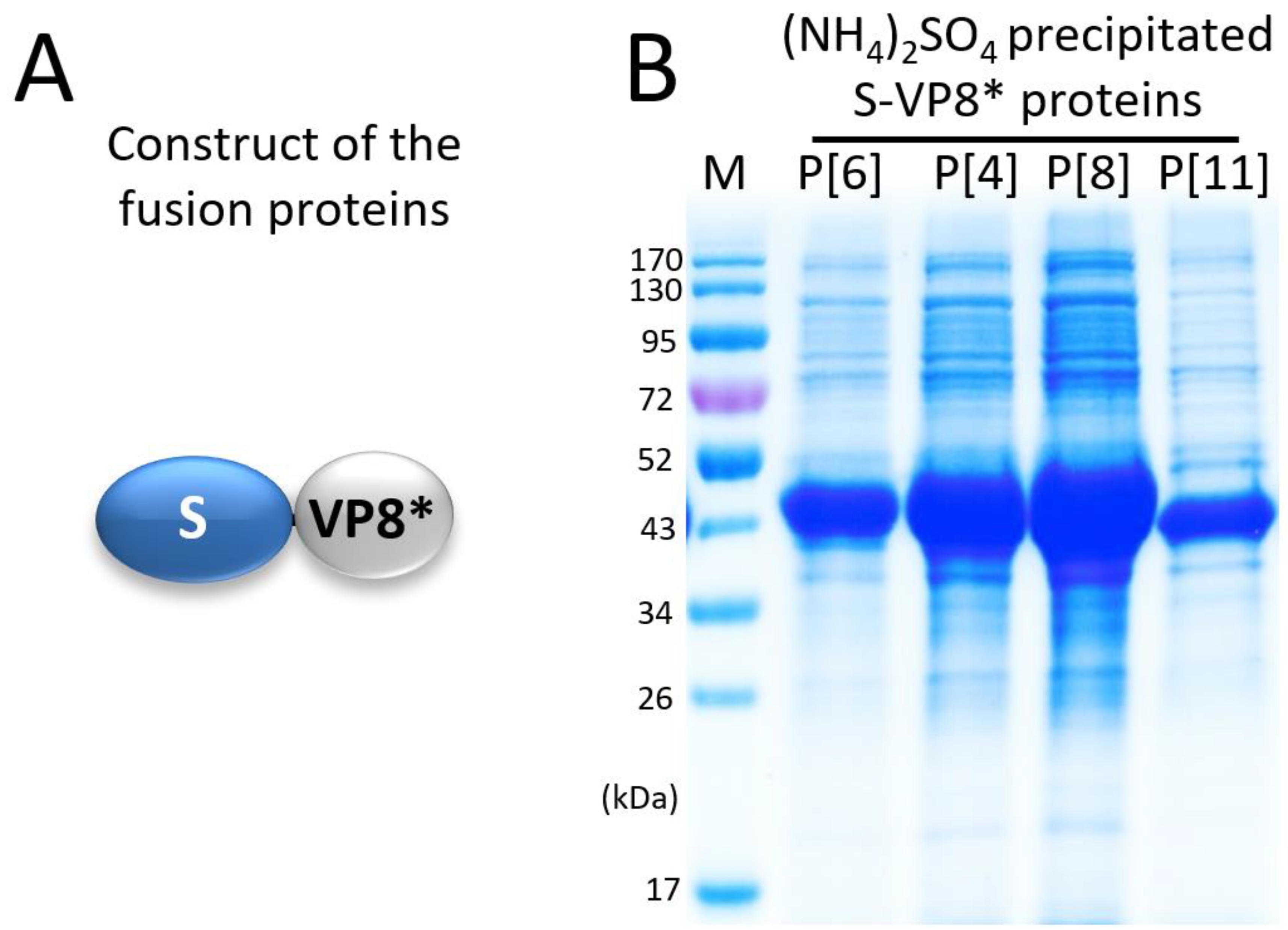 Pharmaceutics 14 01597 g001