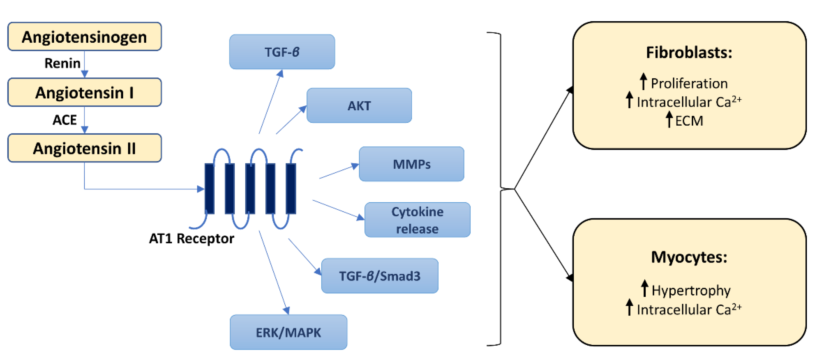 Pharmaceutics 14 01599 g002