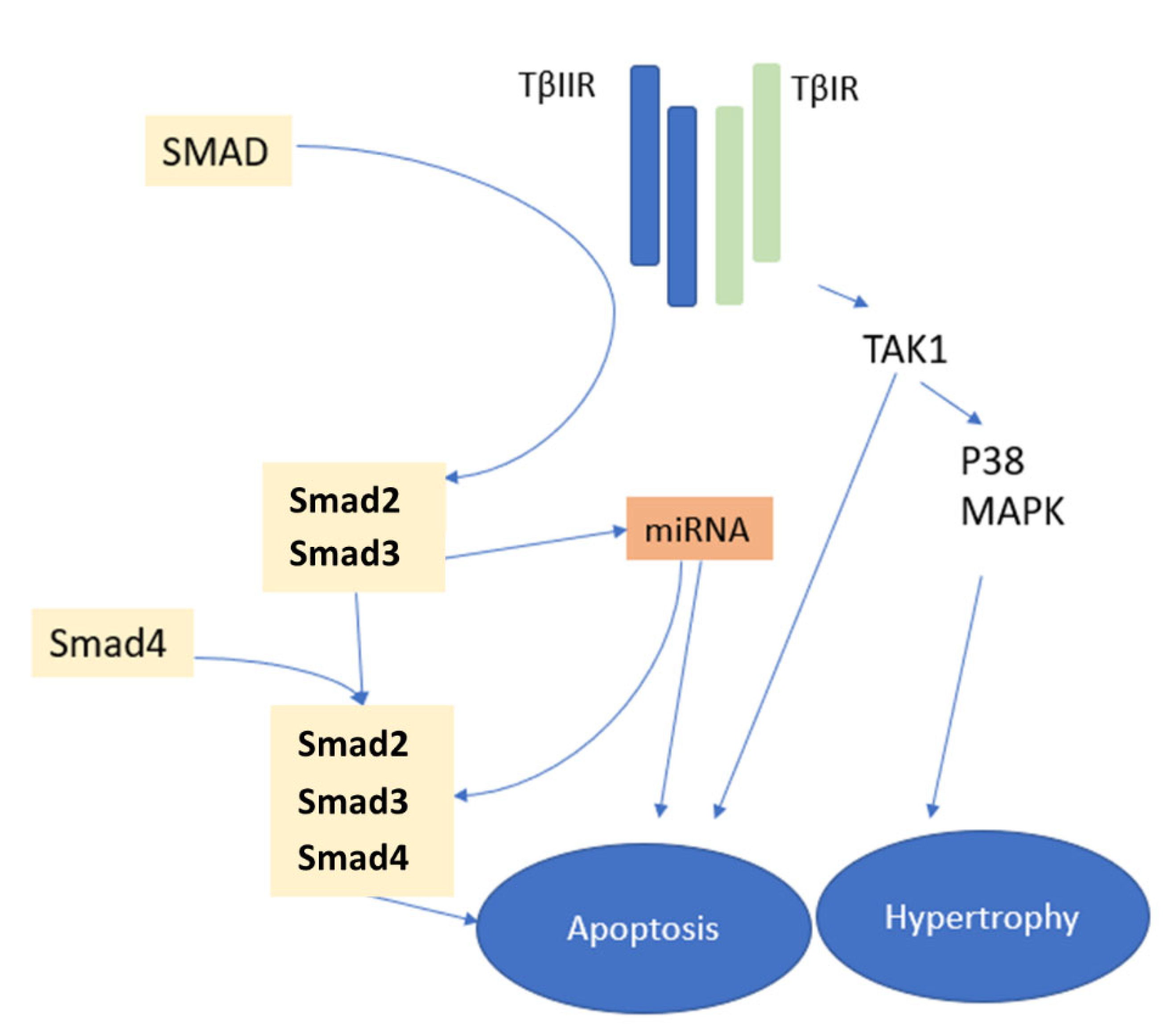 Pharmaceutics 14 01599 g004