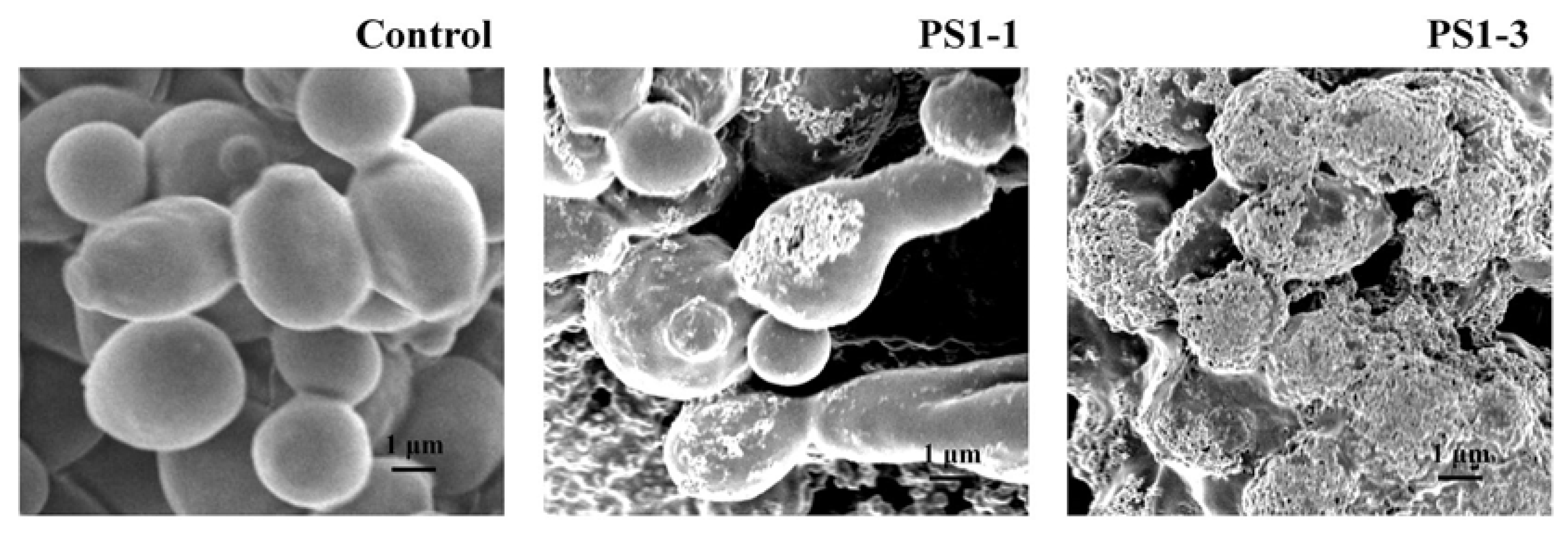 Pharmaceutics 14 01602 g003 550