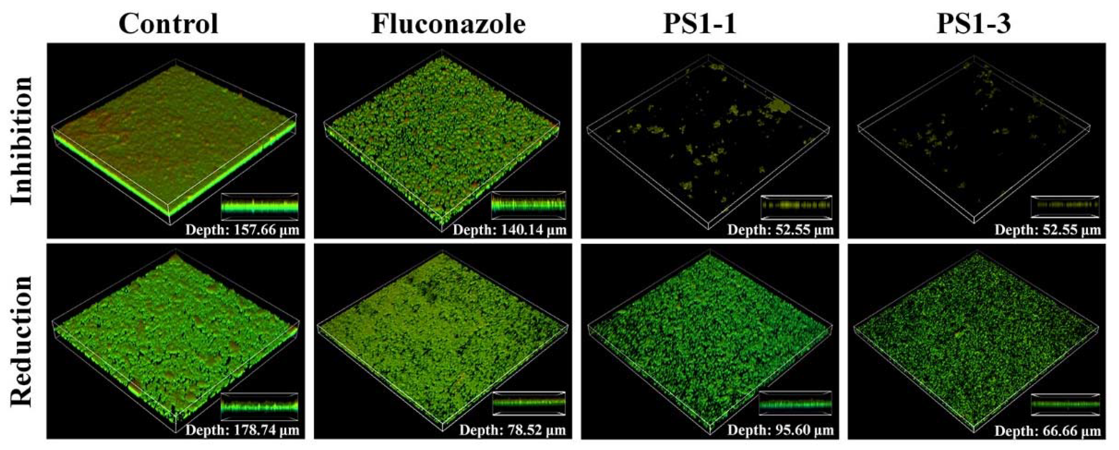 Pharmaceutics 14 01602 g005 550