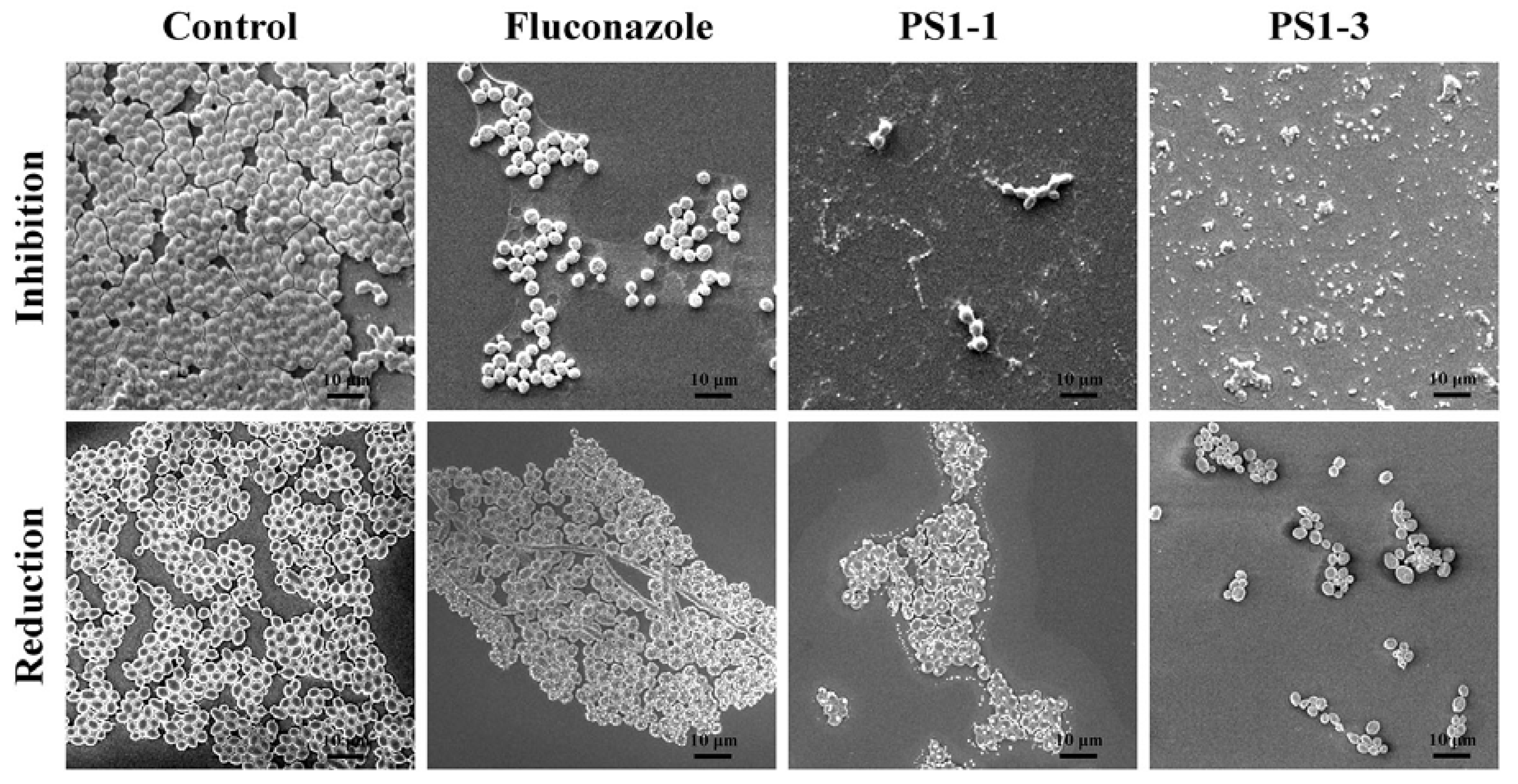 Pharmaceutics 14 01602 g006 550