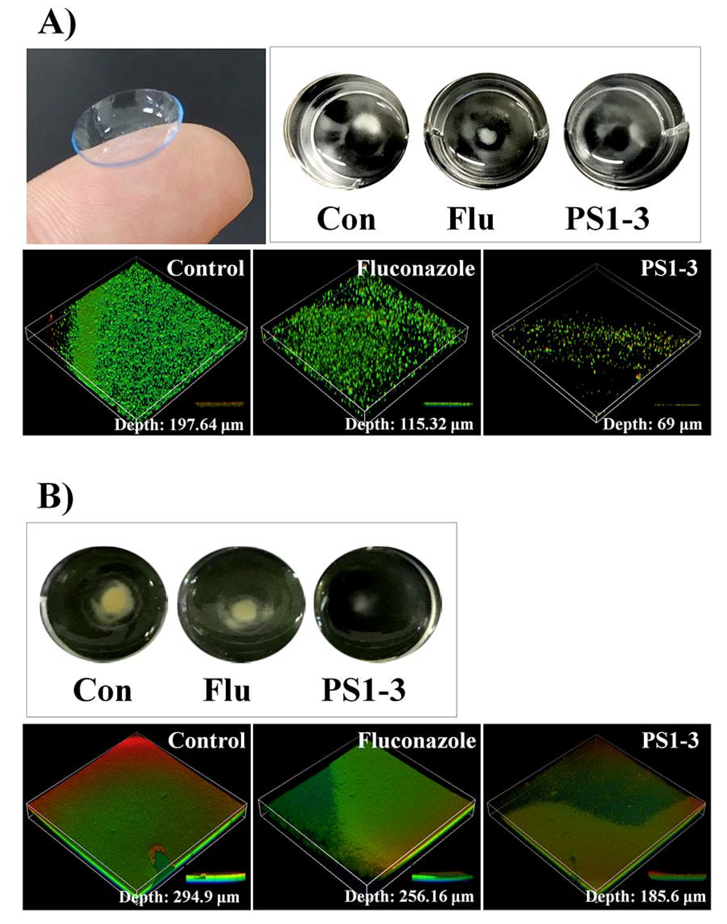 Pharmaceutics 14 01602 g007 550