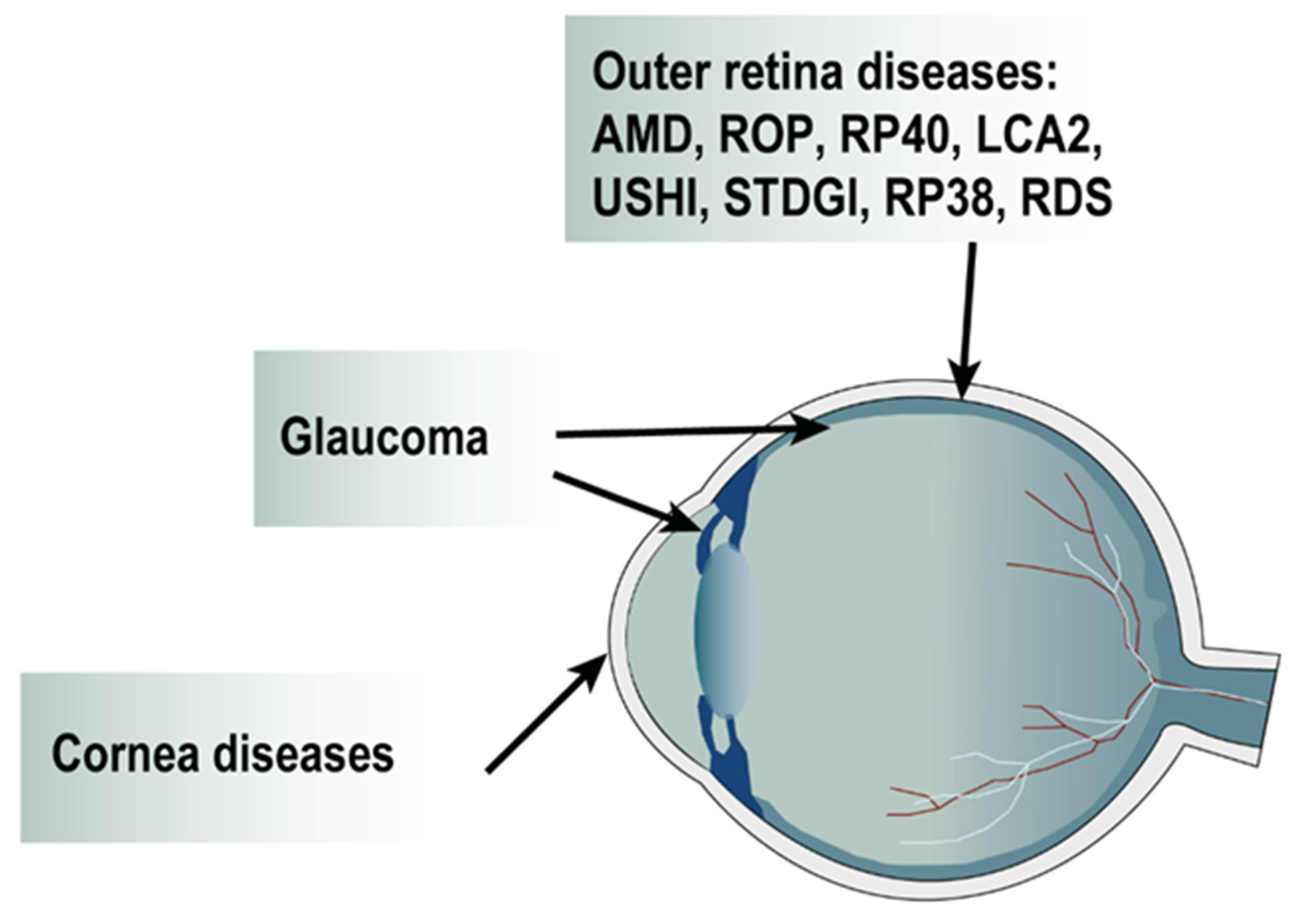 Pharmaceutics 14 01605 g004