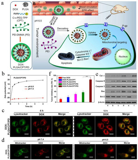 Nanomedicines for Overcoming Cancer Drug Resistance Nanomedicines for Overcoming Cancer Drug Resistance