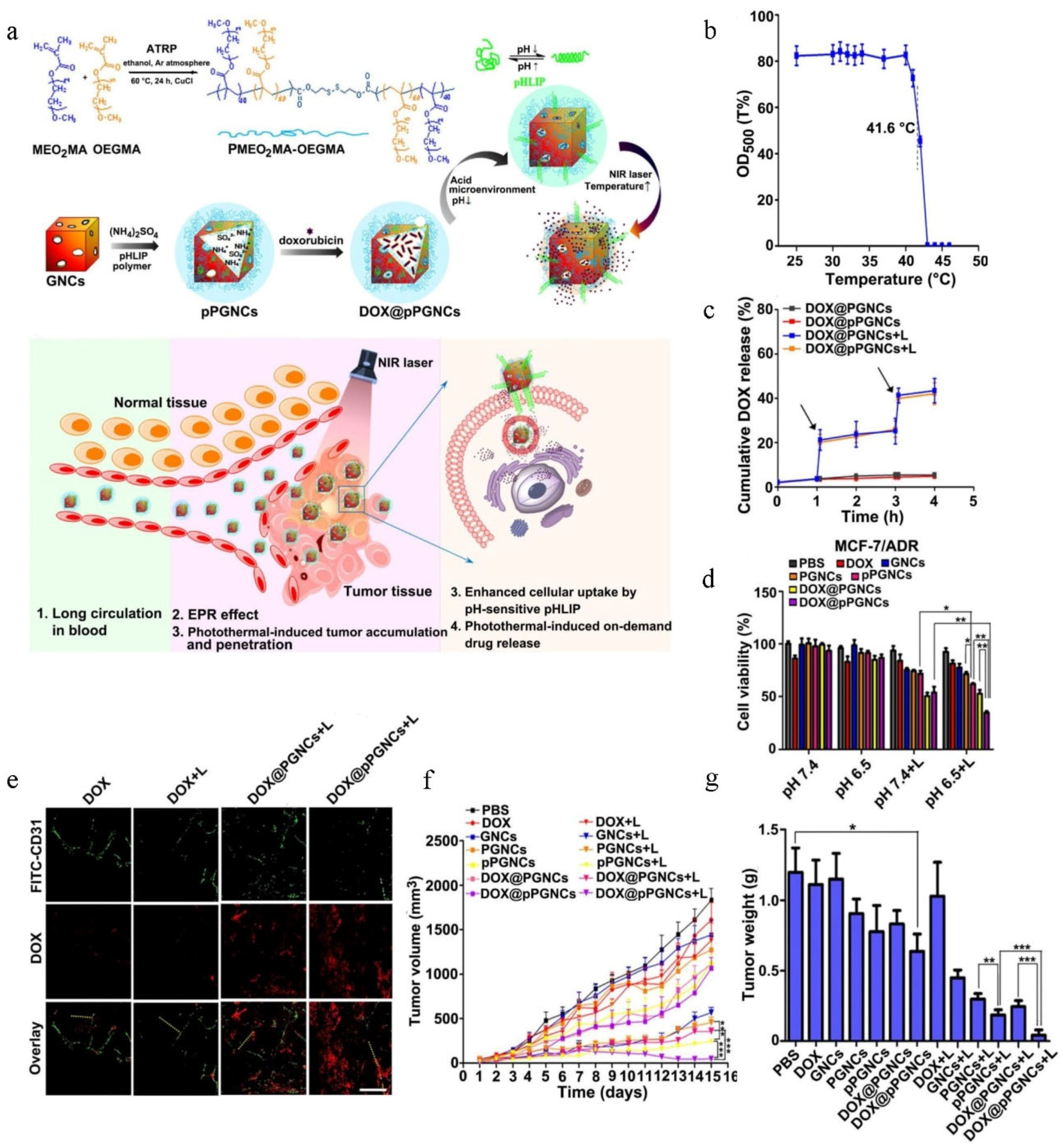 Pharmaceutics 14 01606 g003