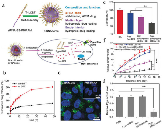 hana  Nanomedicines for Overcoming Cancer Drug Resistance