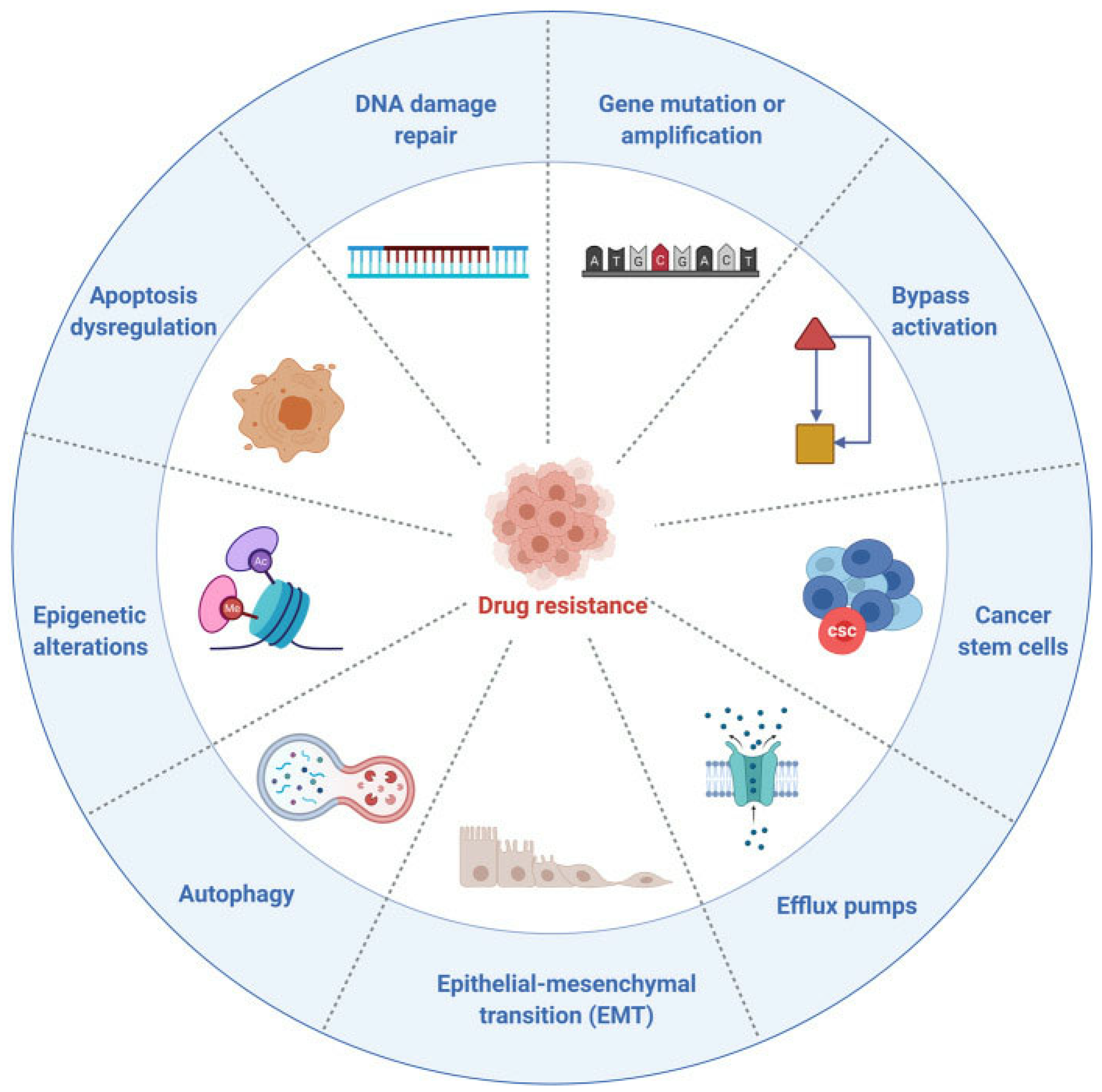 Pharmaceutics 14 01606 g005