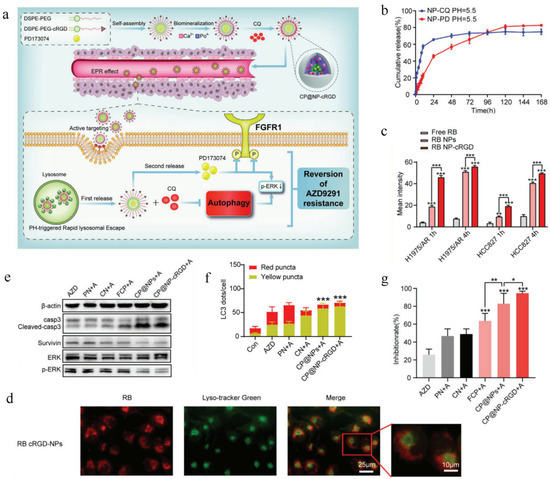 Nanomedicines for Overcoming Cancer Drug Resistance