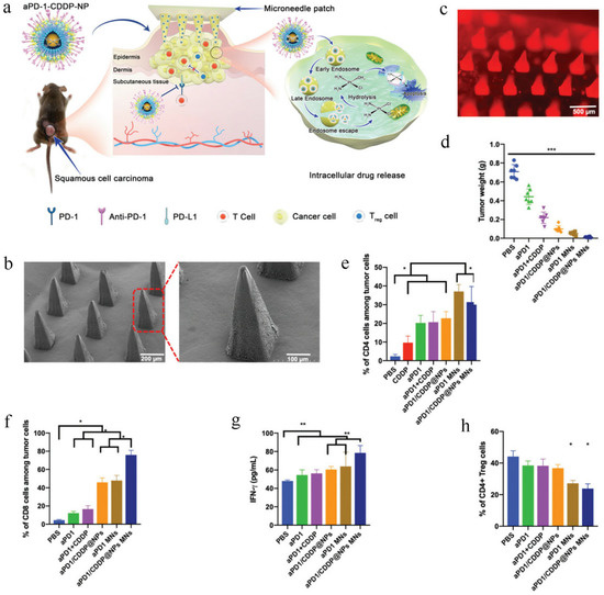Nanomedicines for Overcoming Cancer Drug Resistance