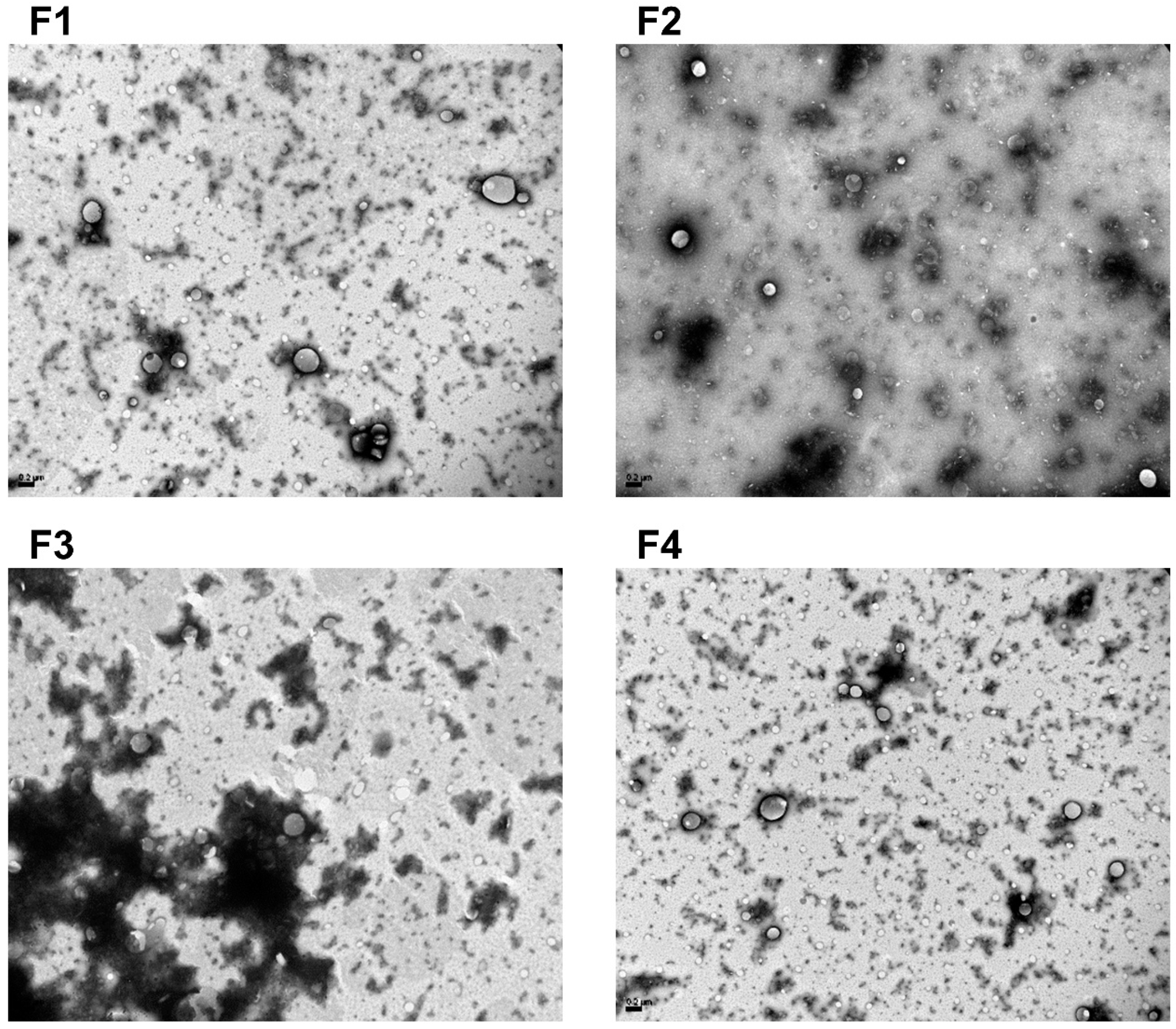 Pharmaceutics 14 01611 g001 Pharmaceutics 14 01611 g001