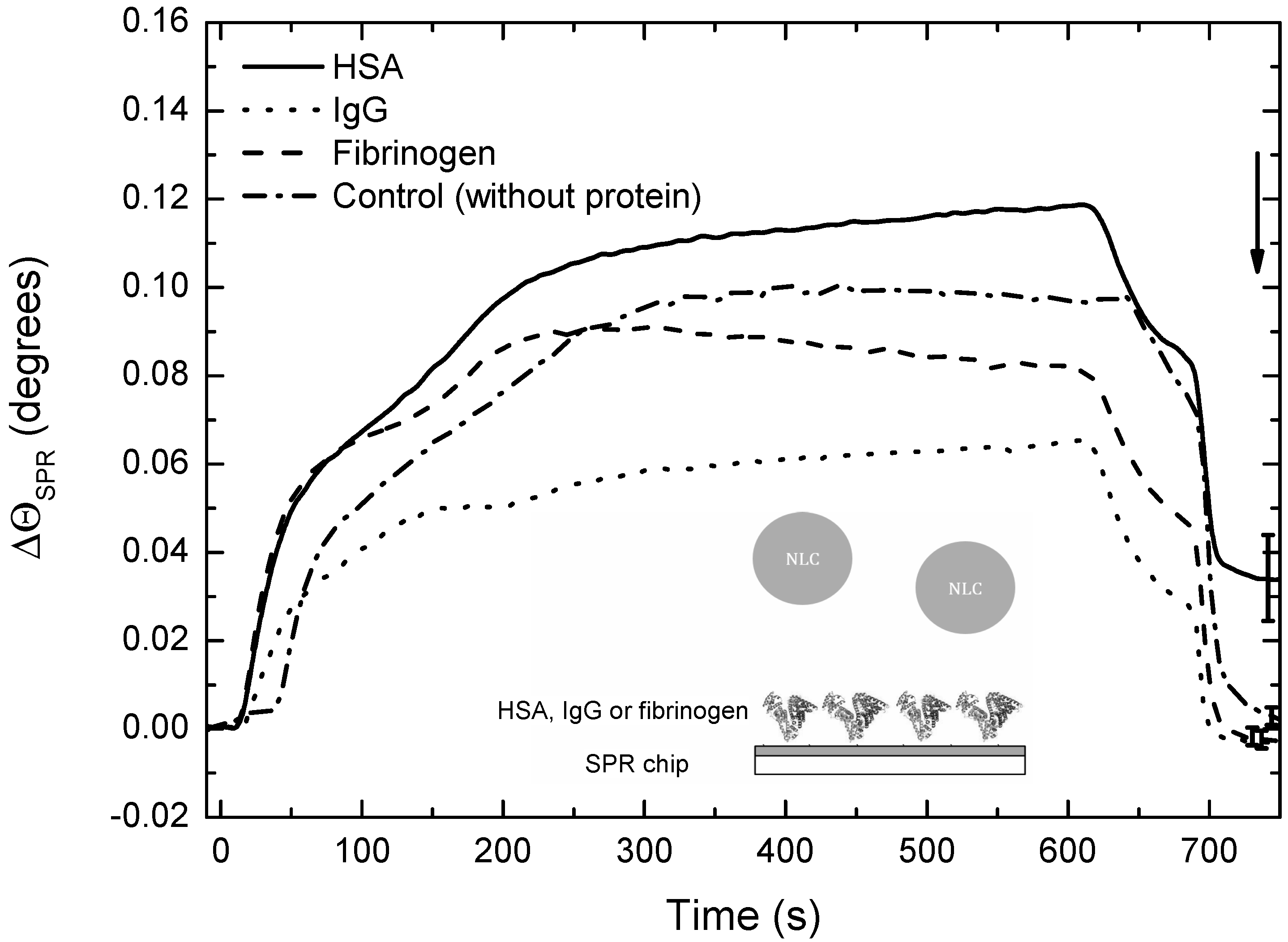 Pharmaceutics 14 01611 g005 Pharmaceutics 14 01611 g005