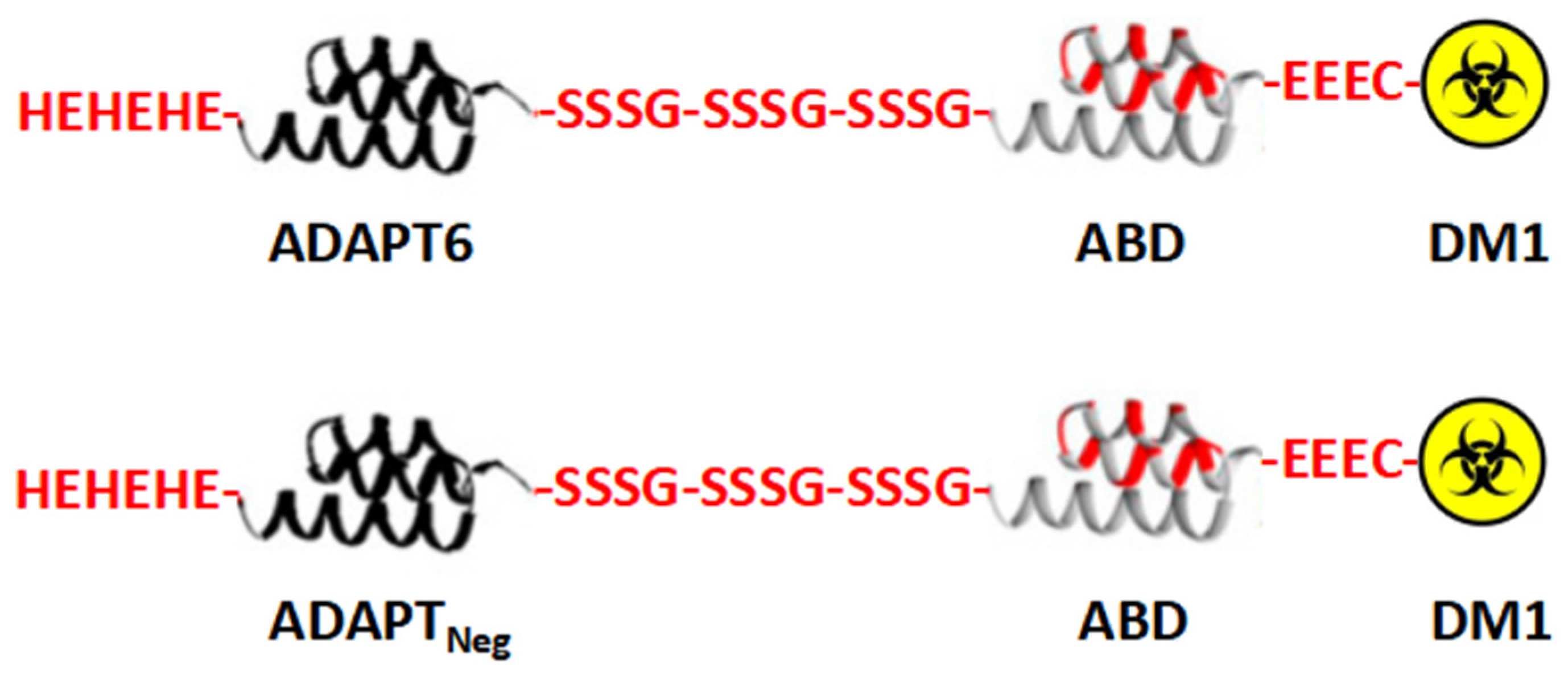Pharmaceutics 14 01612 g001