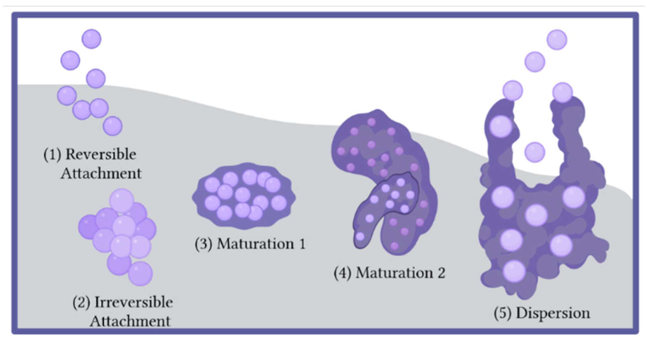 Pharmaceutics 14 01613 g001
