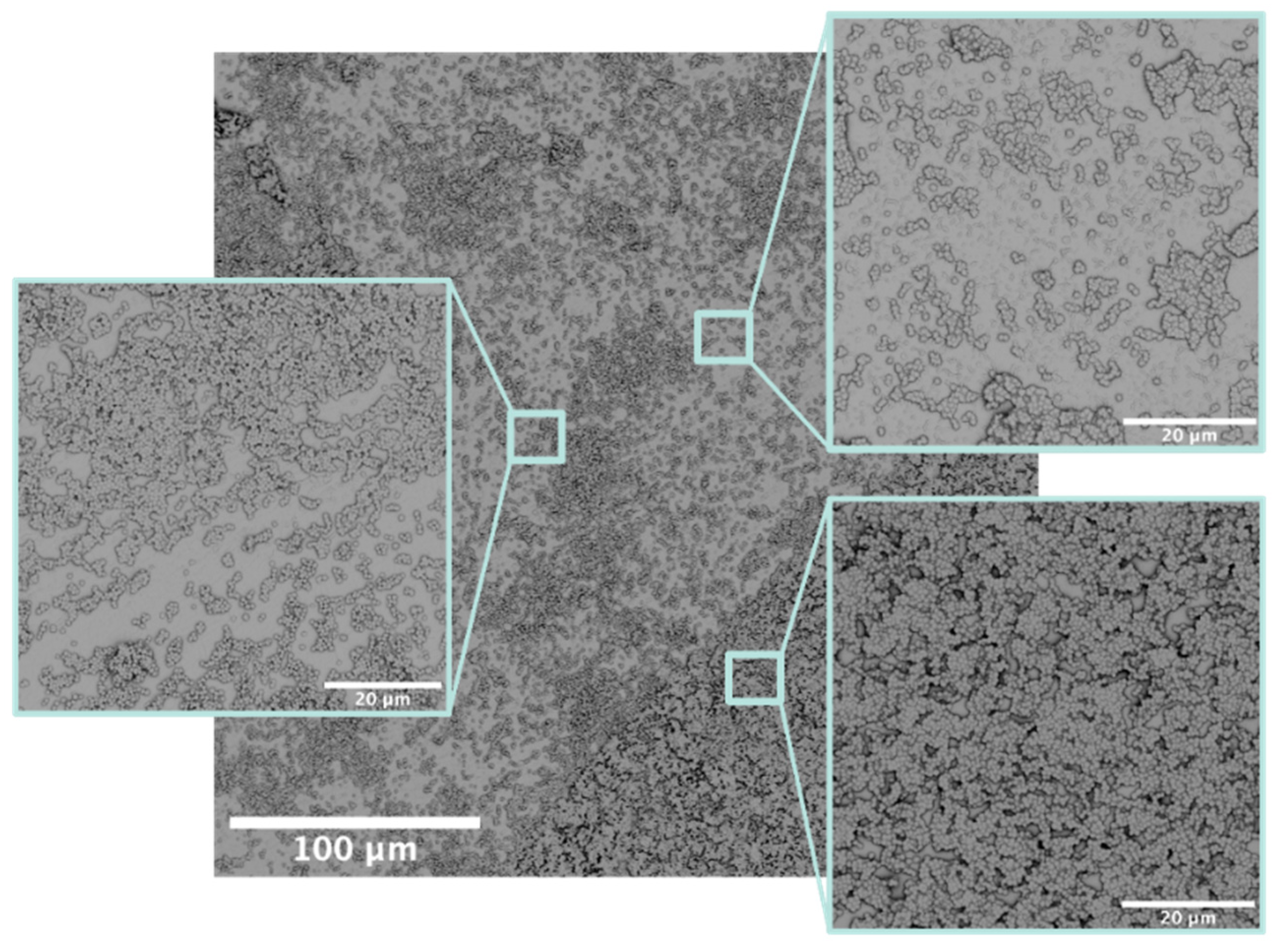 Pharmaceutics 14 01613 g002