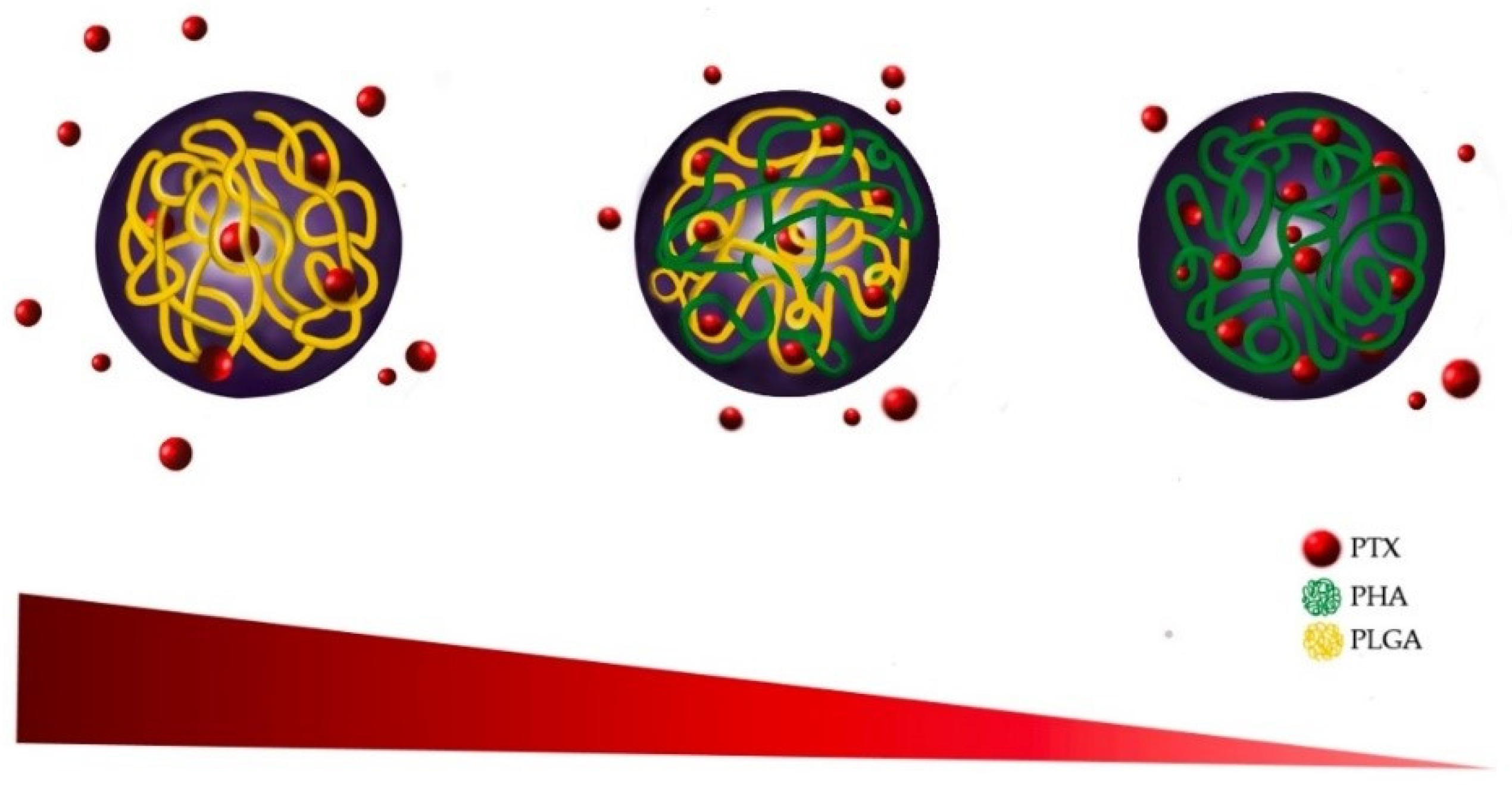 Pharmaceutics 14 01618 sch001 550