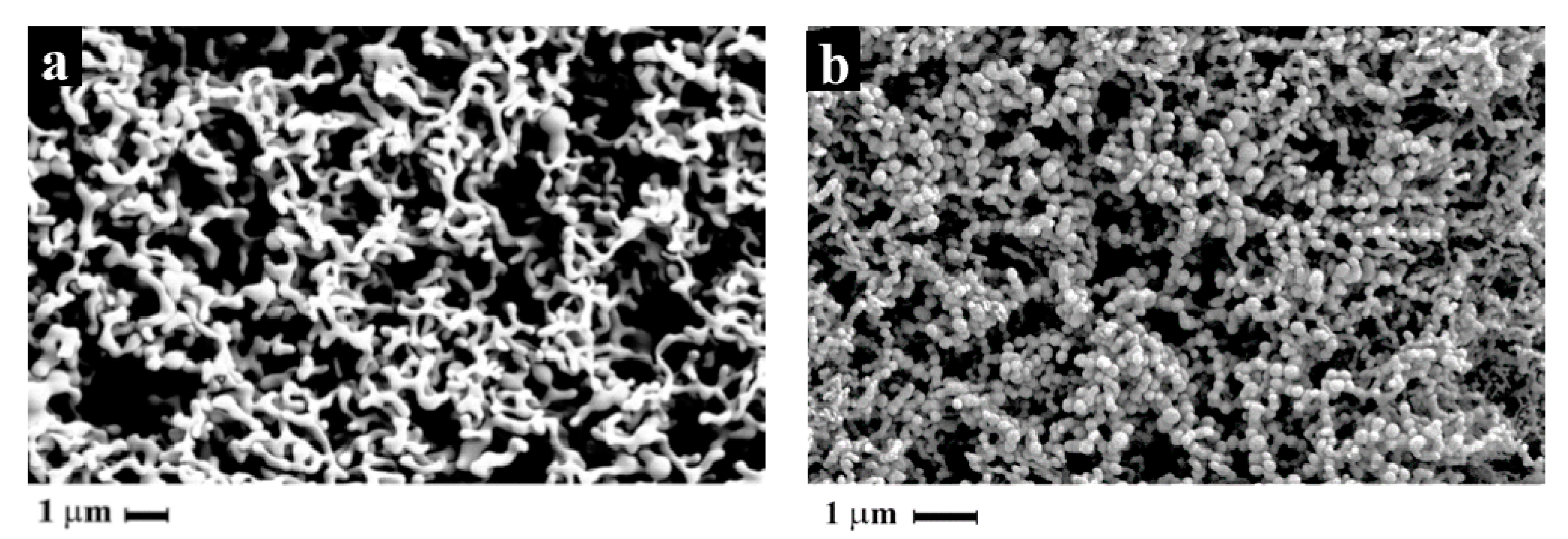 Pharmaceutics 14 01623 g002 Pharmaceutics 14 01623 g002