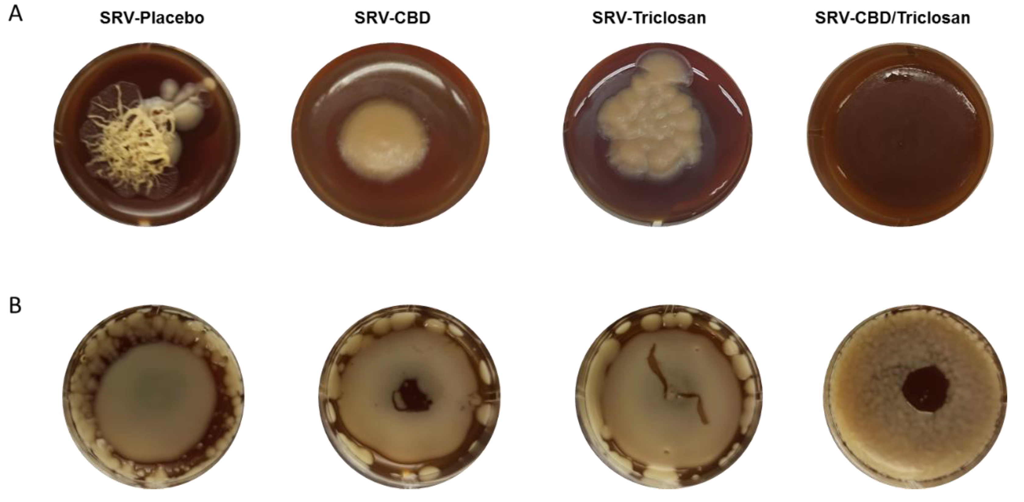 Pharmaceutics 14 01624 g005 Pharmaceutics 14 01624 g005