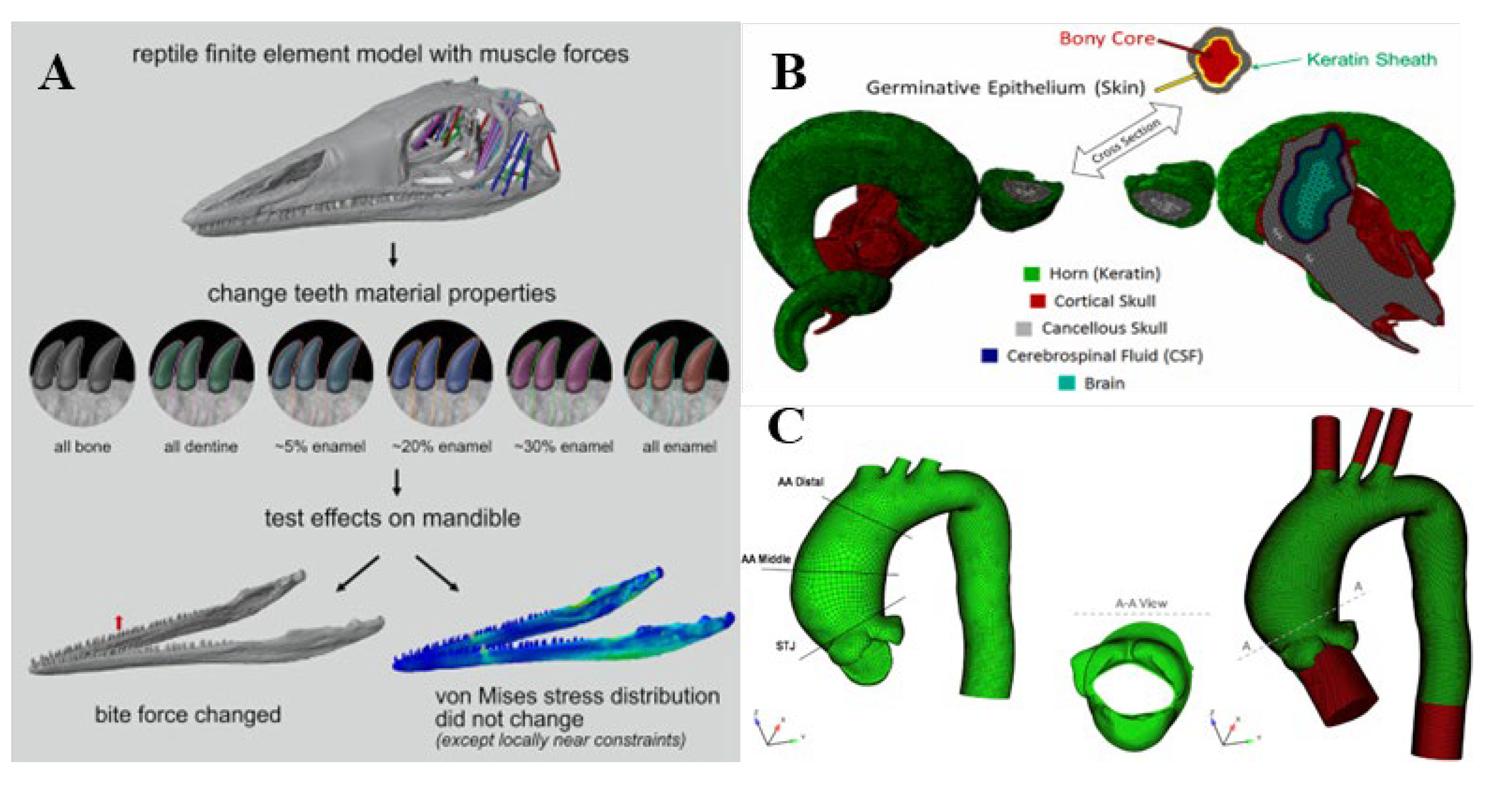 Pharmaceutics 14 01625 g001 Pharmaceutics 14 01625 g001