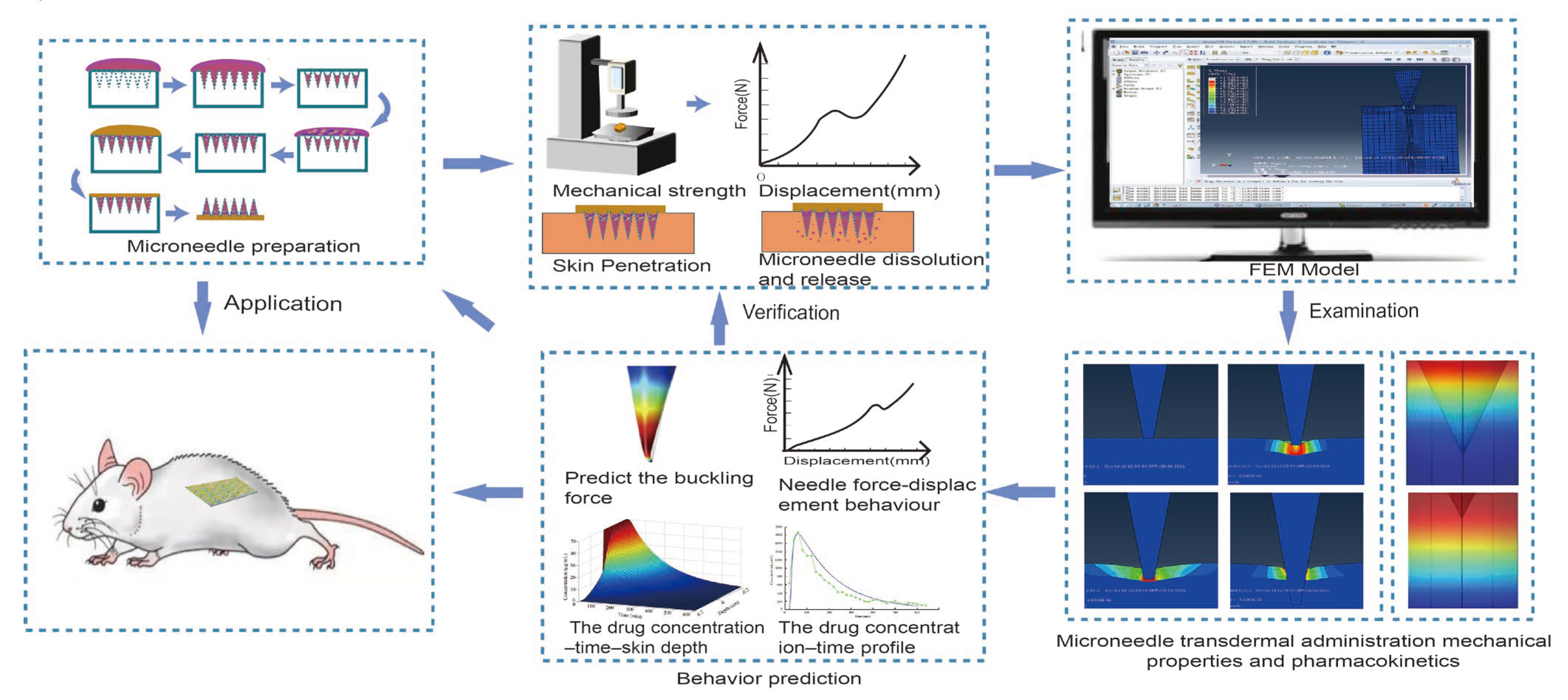 Pharmaceutics 14 01625 g009 Pharmaceutics 14 01625 g009