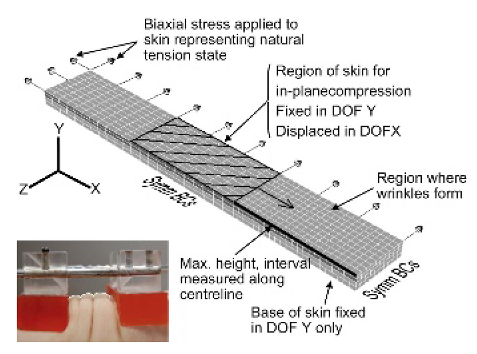 Pharmaceutics 14 01625 i001 Pharmaceutics 14 01625 i001