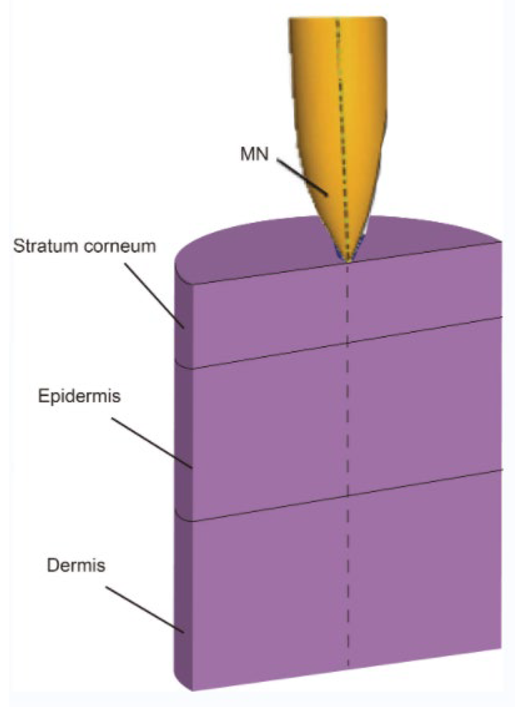 Pharmaceutics 14 01625 i002 Pharmaceutics 14 01625 i002