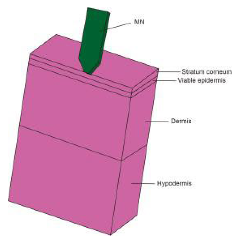 Pharmaceutics 14 01625 i003 Pharmaceutics 14 01625 i003