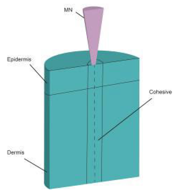 Pharmaceutics 14 01625 i004 Pharmaceutics 14 01625 i004