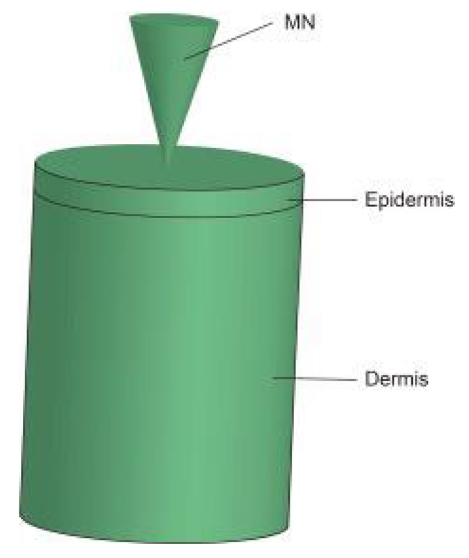 Pharmaceutics 14 01625 i005 Pharmaceutics 14 01625 i005